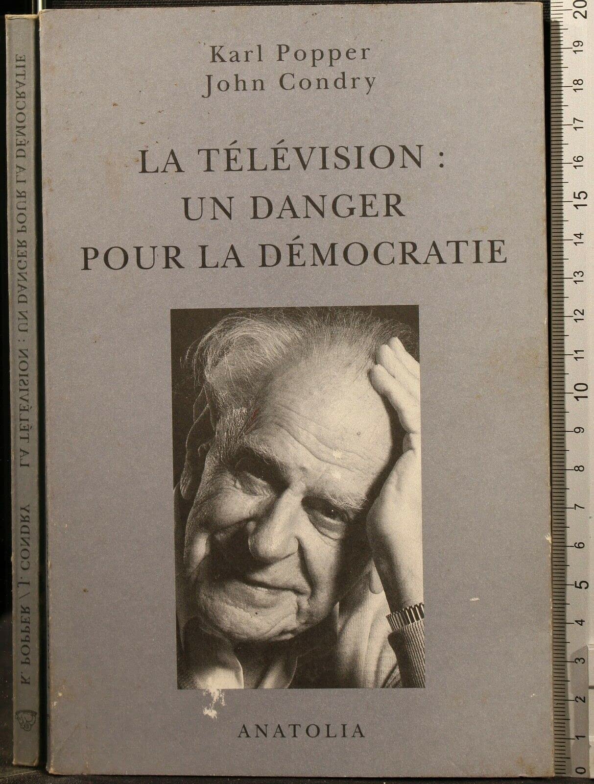 La télévision, un danger pour la démocratie book