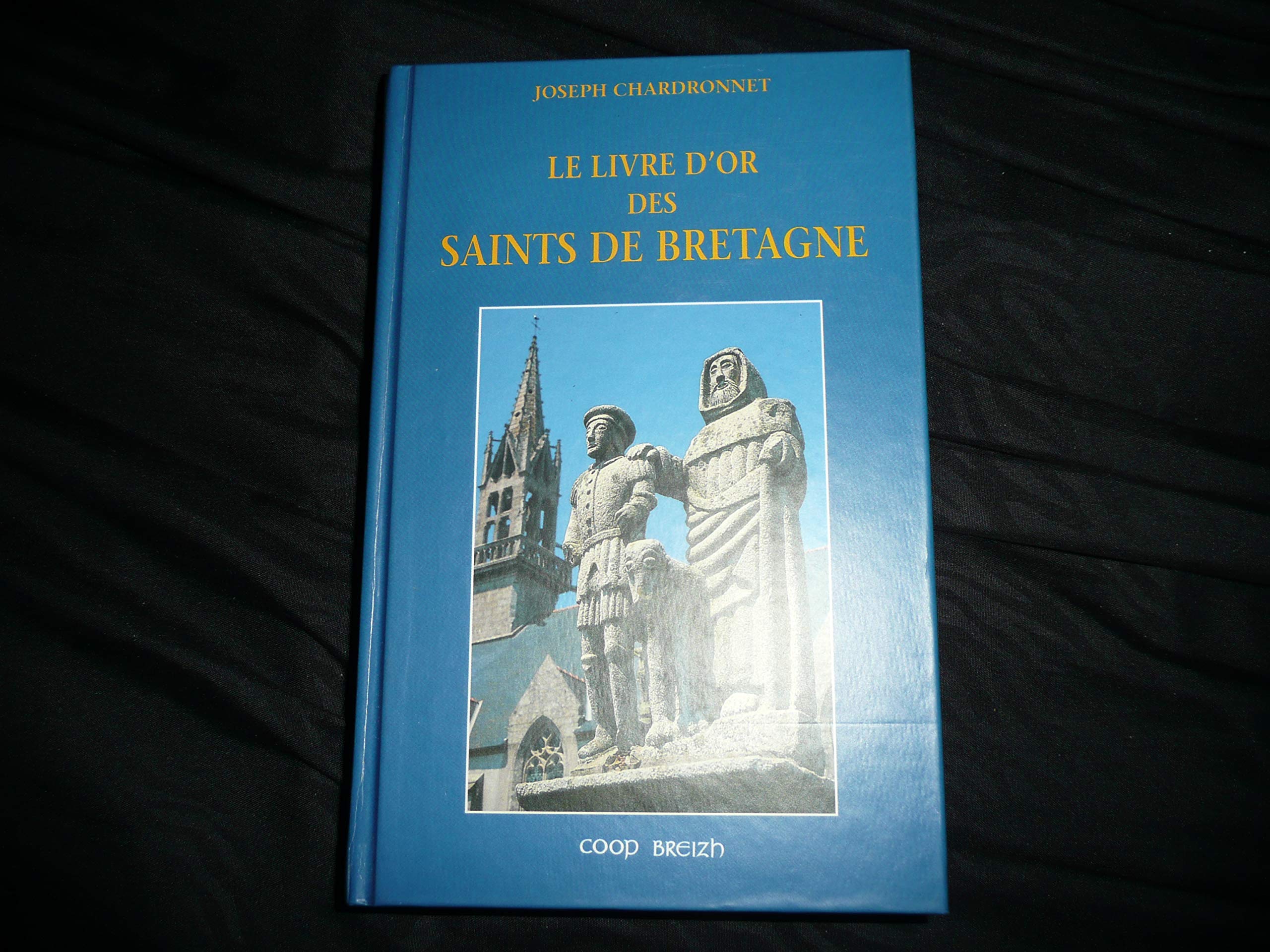 Le livre d'or des saints de Bretagne Books