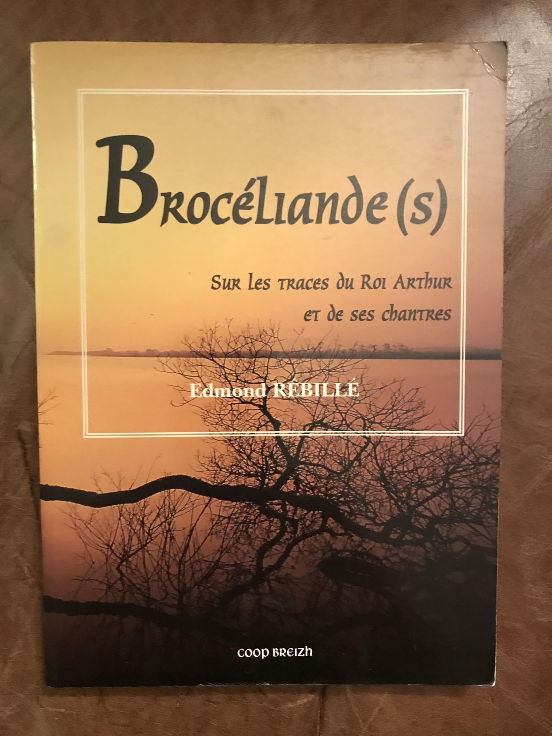 Brocéliande(s) : sur les traces du roi Arthur et de ses chantres. Books