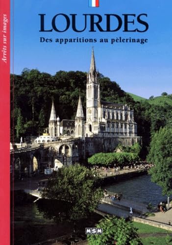 Lourdes, arrêts sur images book