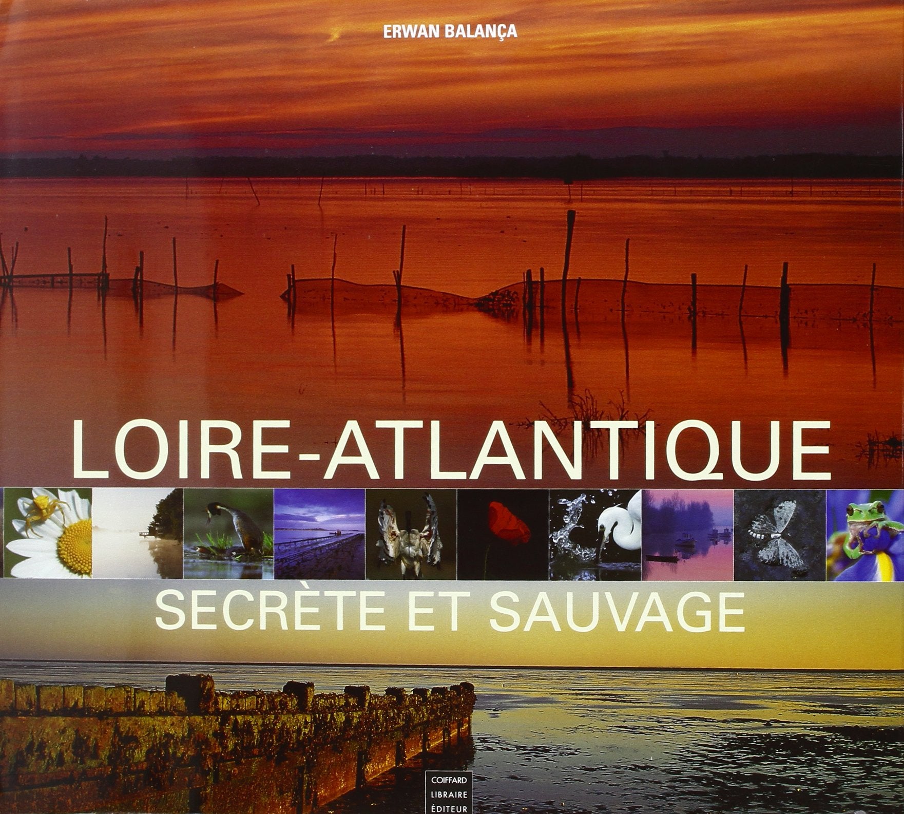 Loire-Atlantique Secrete Et Sauvage Contemporary literature