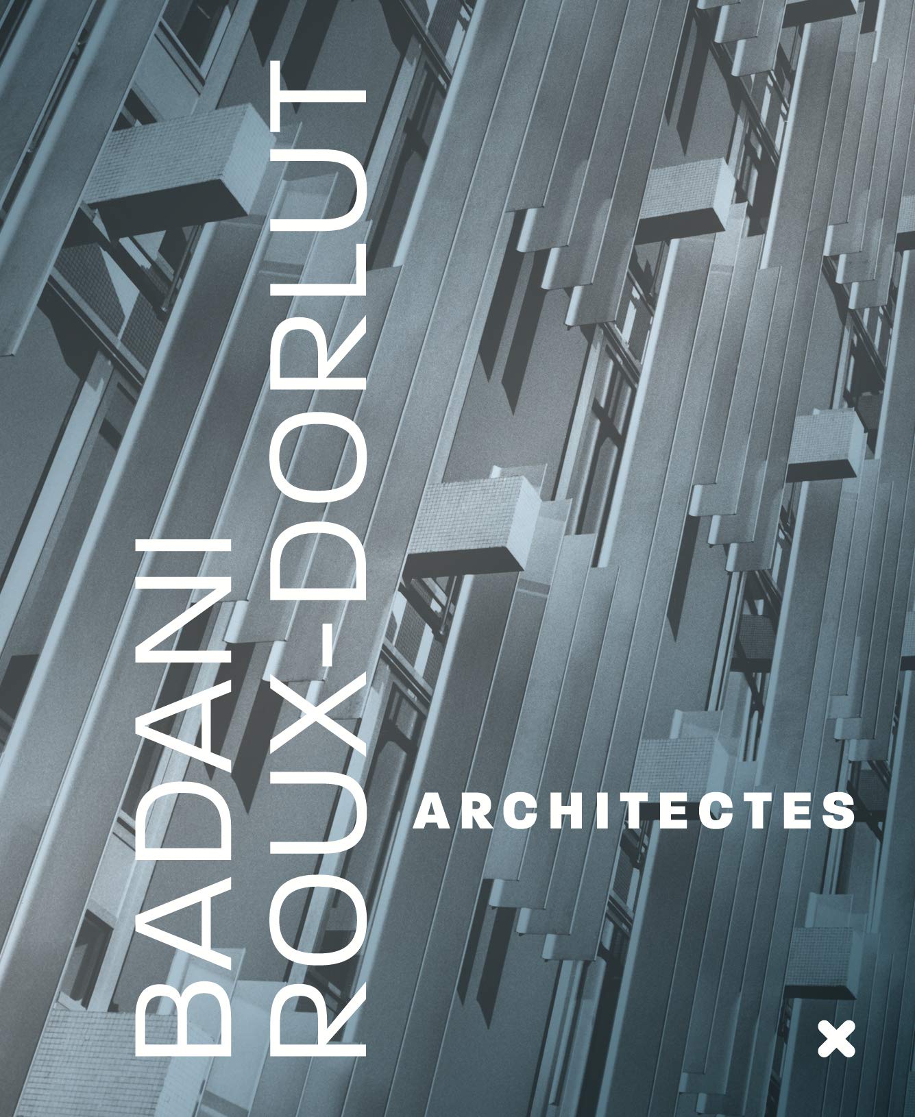 Badani & Roux-Dorlut: La conquête du milieu Architecture