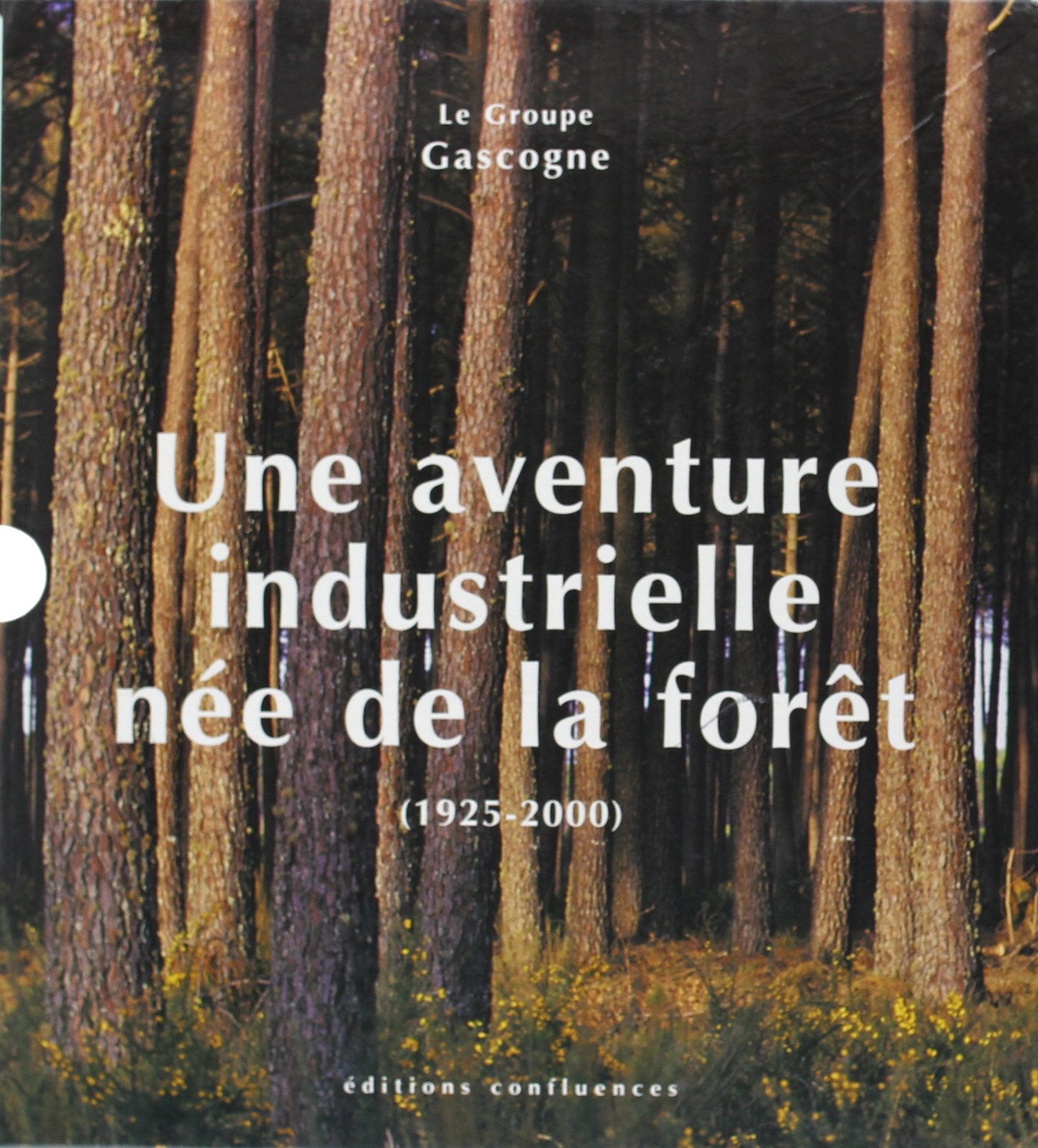 Une aventure industrielle née de la forêt - le Groupe Gascogne, 1925-2000 Computer Science