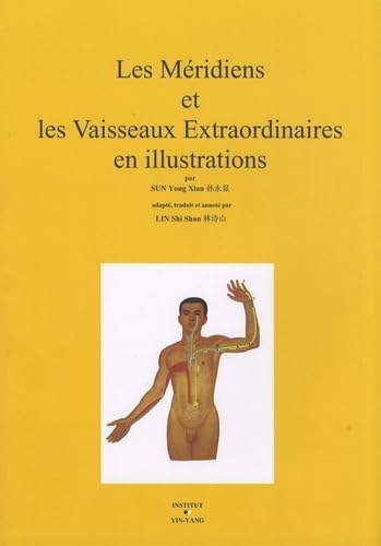 Les méridiens et les vaisseaux extraordinaires en illustrations Medicine