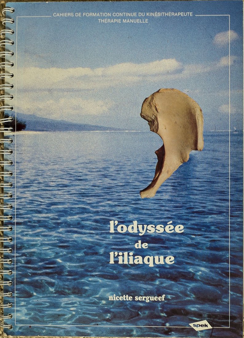 L'odyssée de l'iliaque (Cahiers de formation continue du kinésithérapeute) book