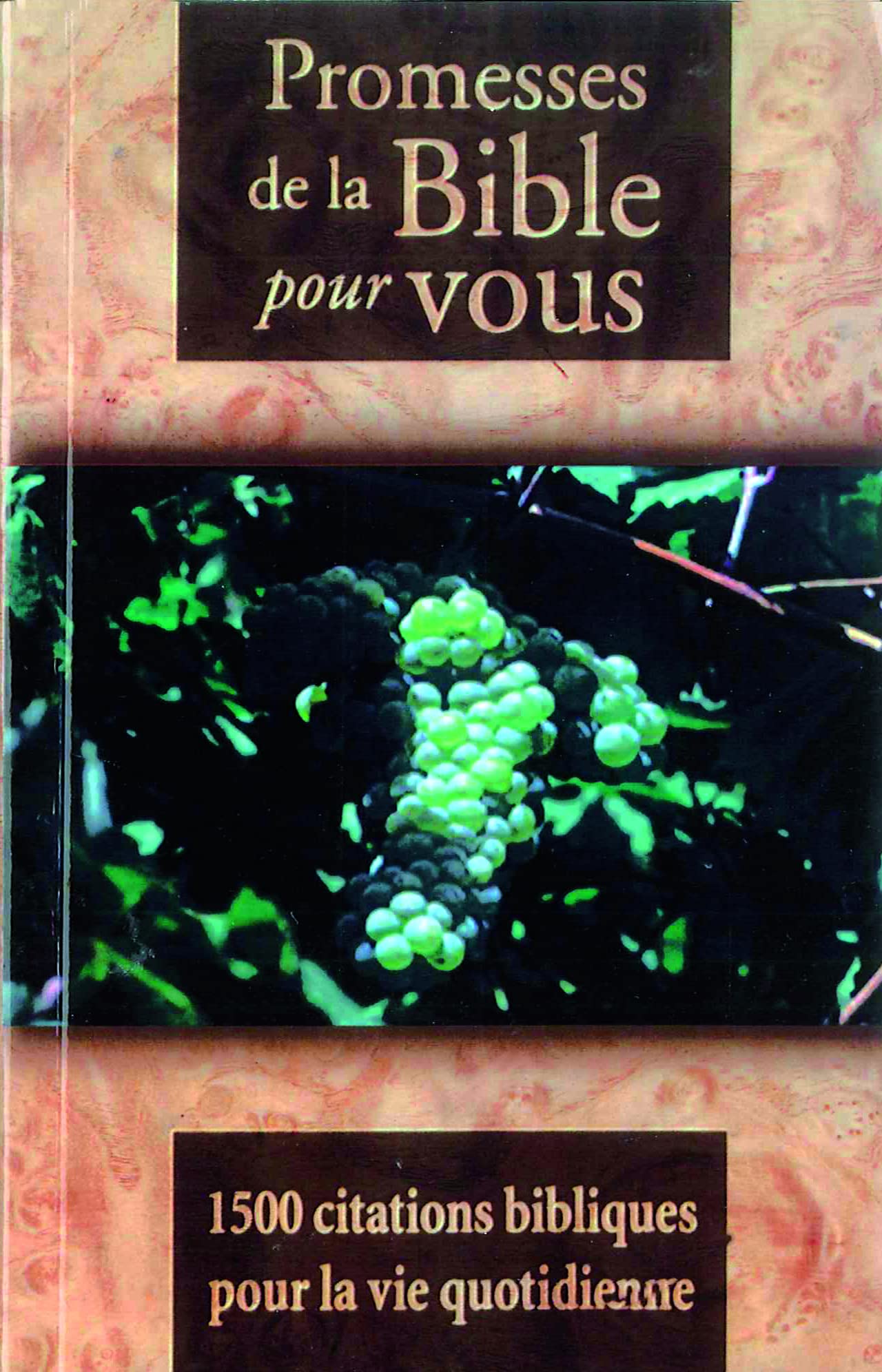 Promesses de la Bible pour vous : 1000 citations bibliques pour la vie quotidienne Religion & Esotericism