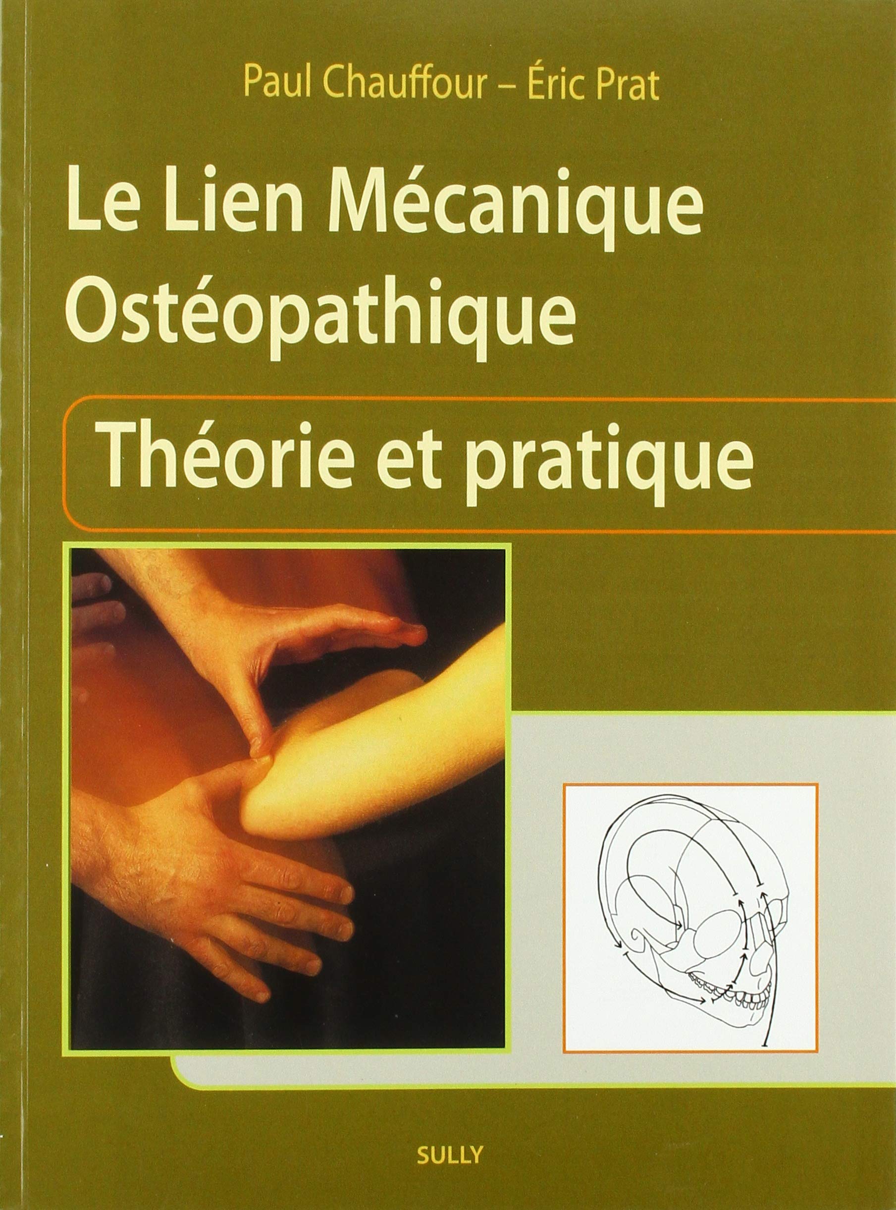 Le lien mécanique ostéopathique (tome 1): Théorie et pratique book