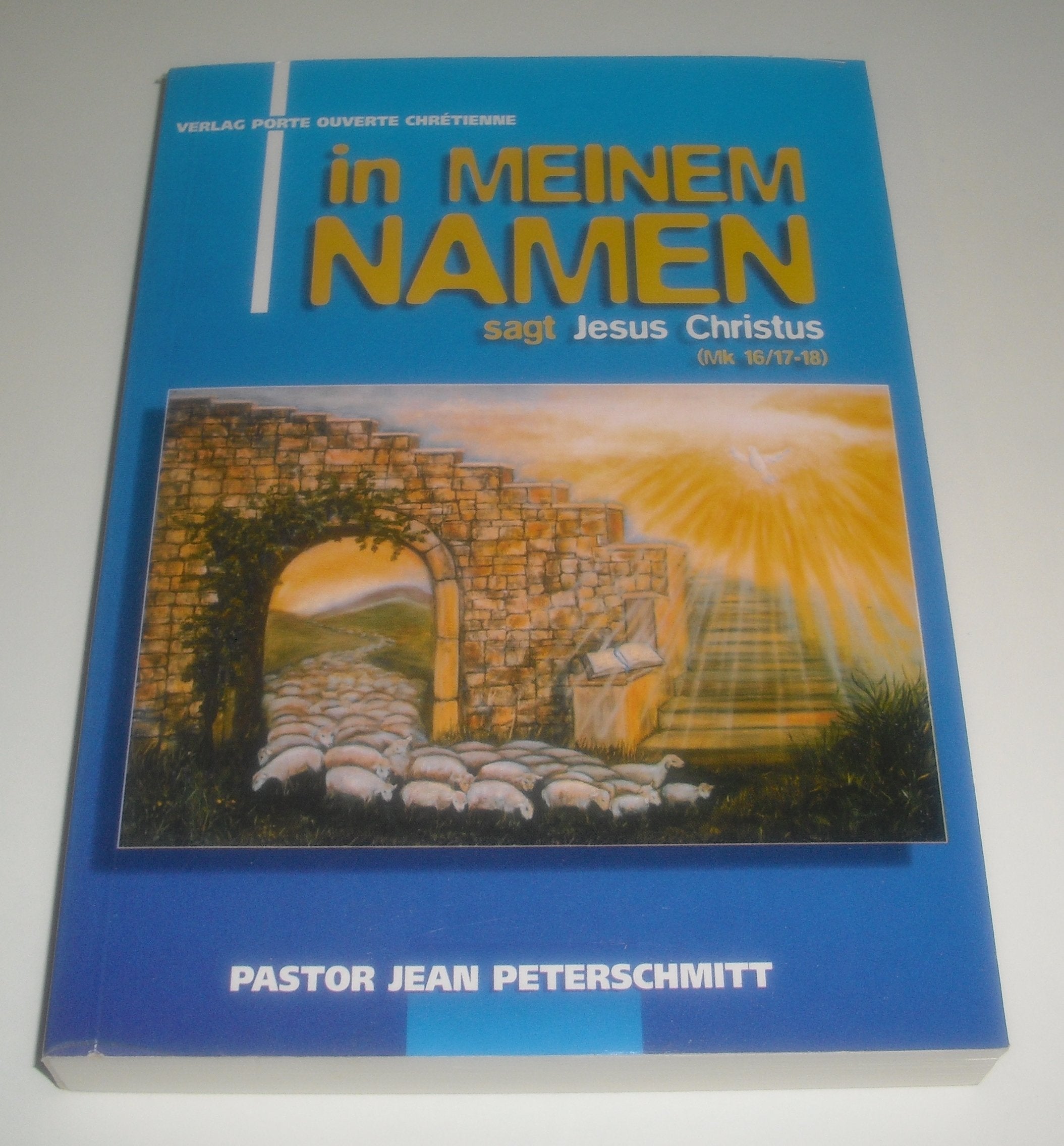 IN MEINEM NAMEN, sagt Jesus Christus Books