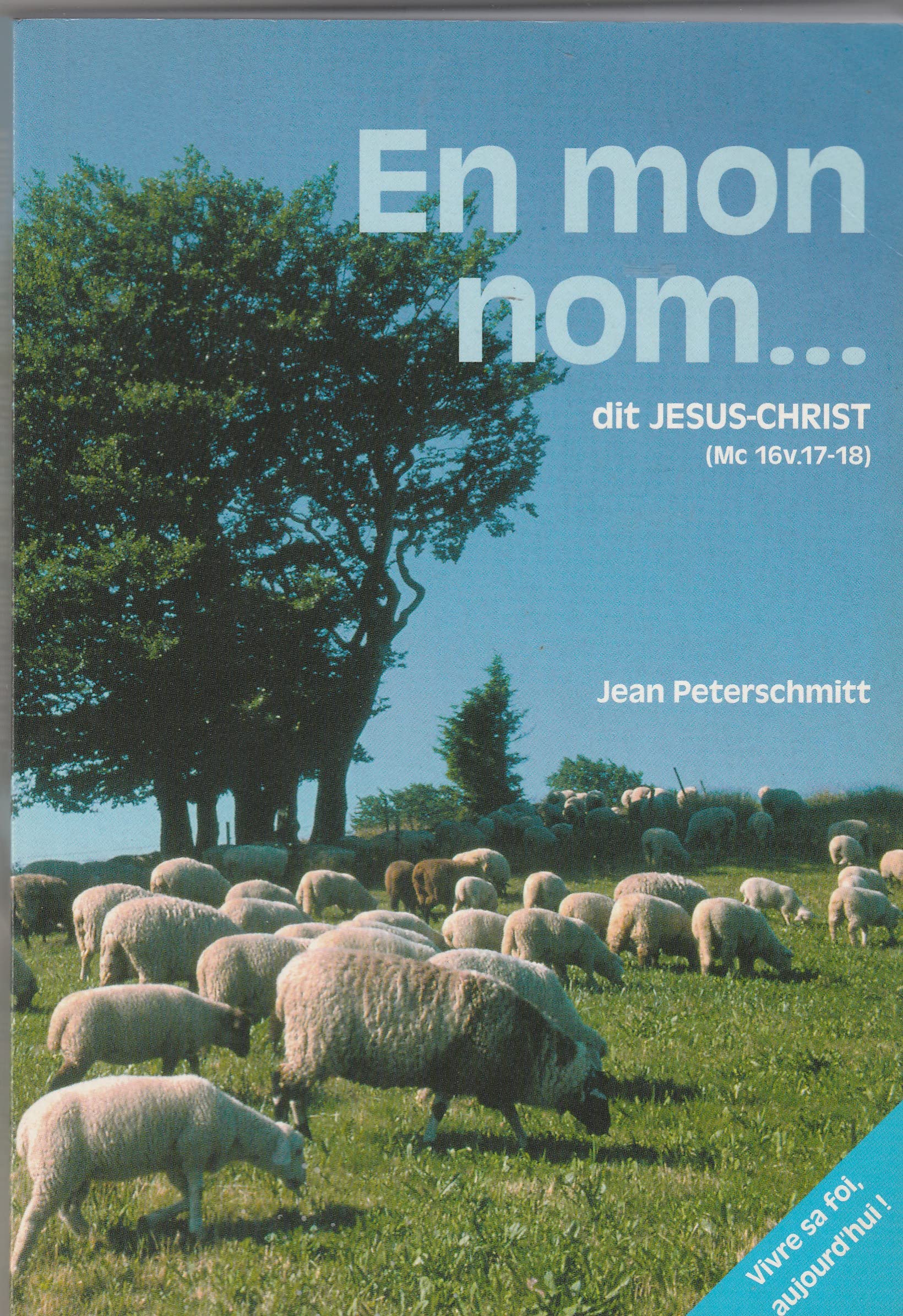 En mon Nom, dit Jésus : Ils chasseront les démons, ils parleront de nouvelles langues, ils imposeront les mains aux malades Religion & Esotericism