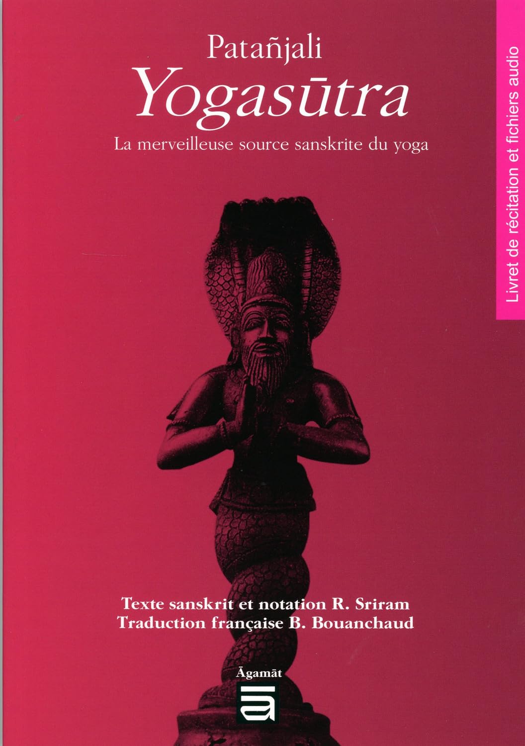 Patanjali Yogasûtra - La merveilleuse source sanskrite du yoga book