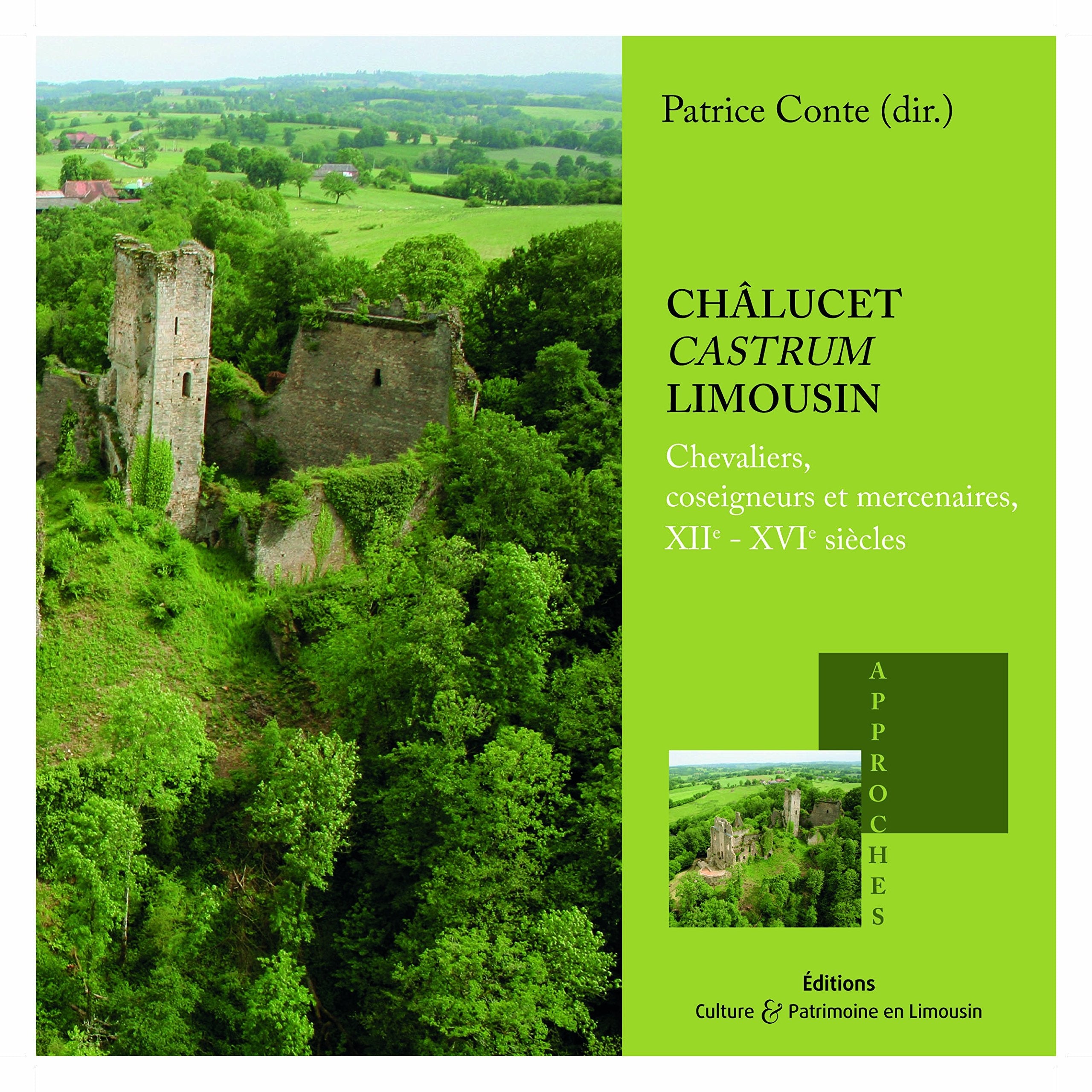 Châlucet, castrum Limousin: Chevaliers, coseigneurs et mercenaires, XIIe-XVIe siècles book