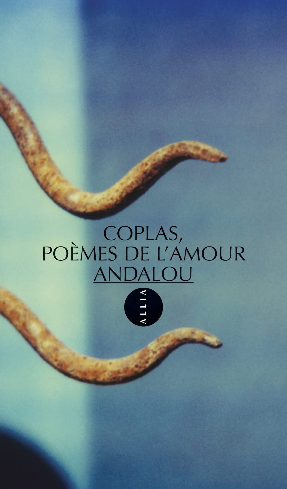 Coplas, poèmes de l'amour Andalou book