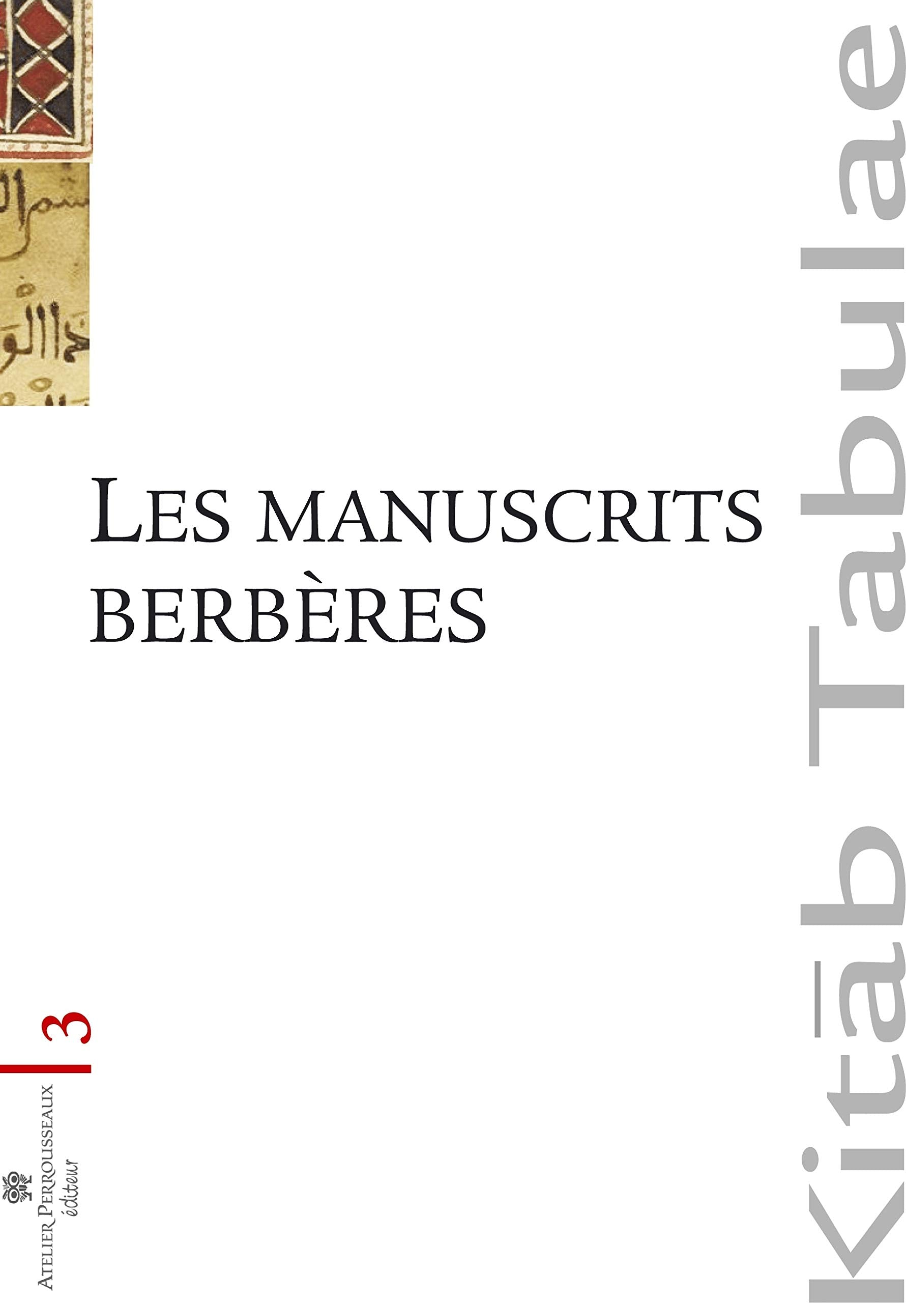 Les manuscrits berbères au Maghreb et dans les collections européennes : Localisation, identification, conservation et diffusion book