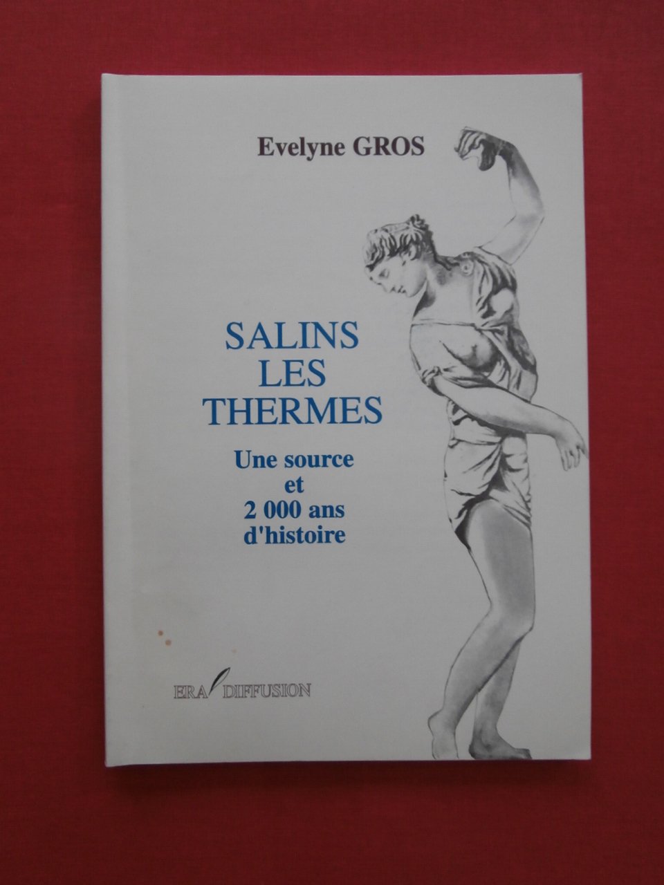 Salins les thermes, une source et 2000 ans d'histoire Books