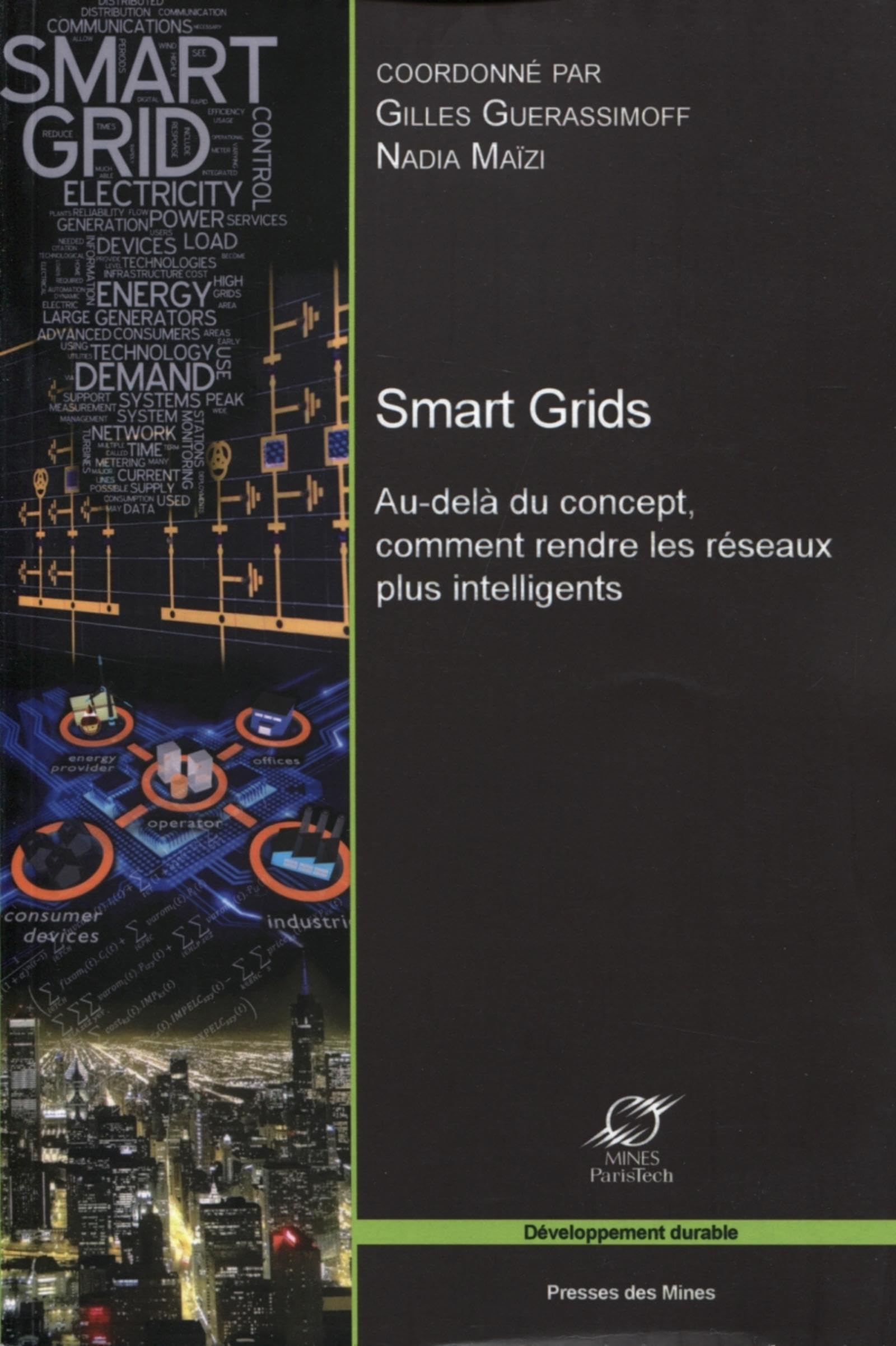 Smart Grids. Au-delà du concept, comment rendre les réseaux plus intelligents. book
