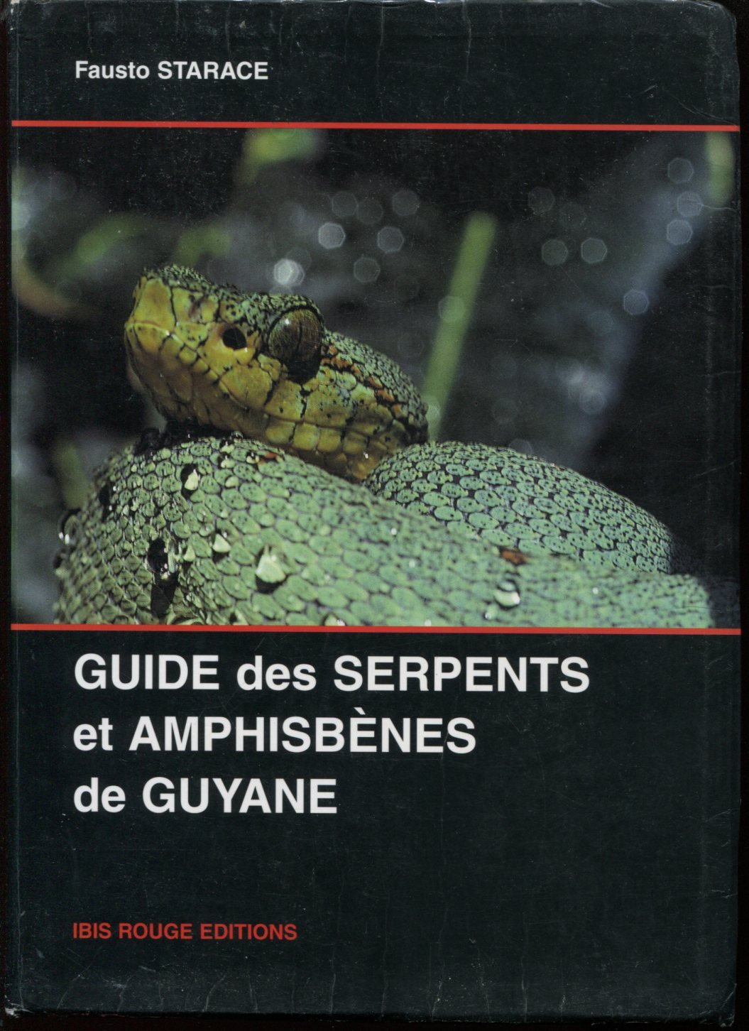 Guide des serpents et amphisbènes de Guyane française Books