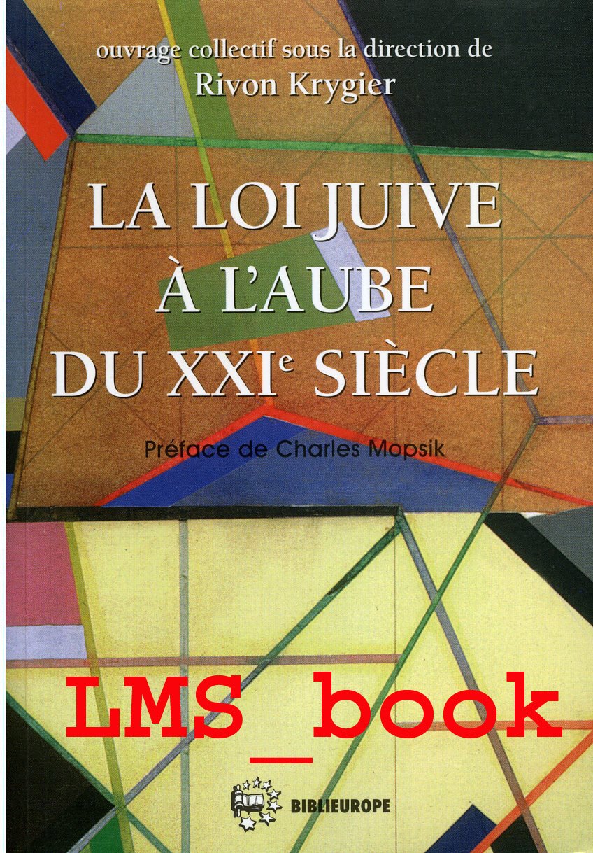 La loi juive à l'aube du XXIe siècle book