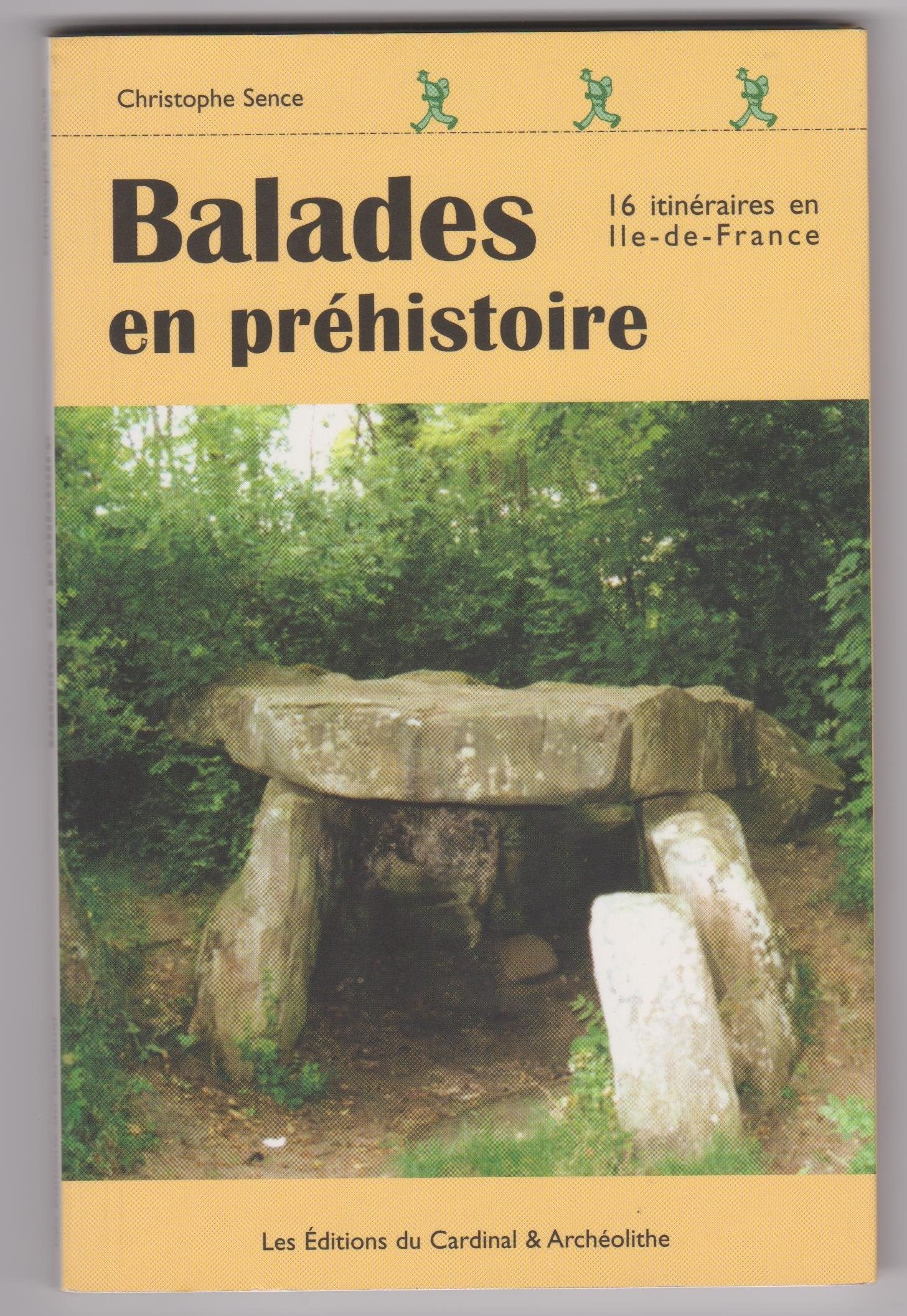 Balades en préhistoire : 16 monuments du 3e millénaire avant notre ère à découvrir en Île-de-France book