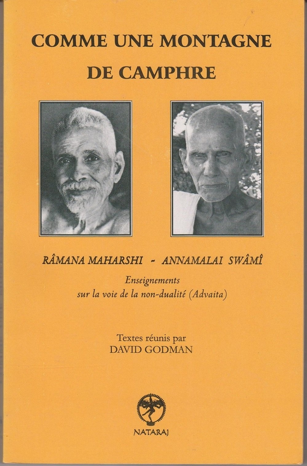 Comme une montagne de camphre: Enseignements de Râmana Maharshi et Annamalai Swâmî sur la voie de la non-dualité (Advaita-Vedânta) Books