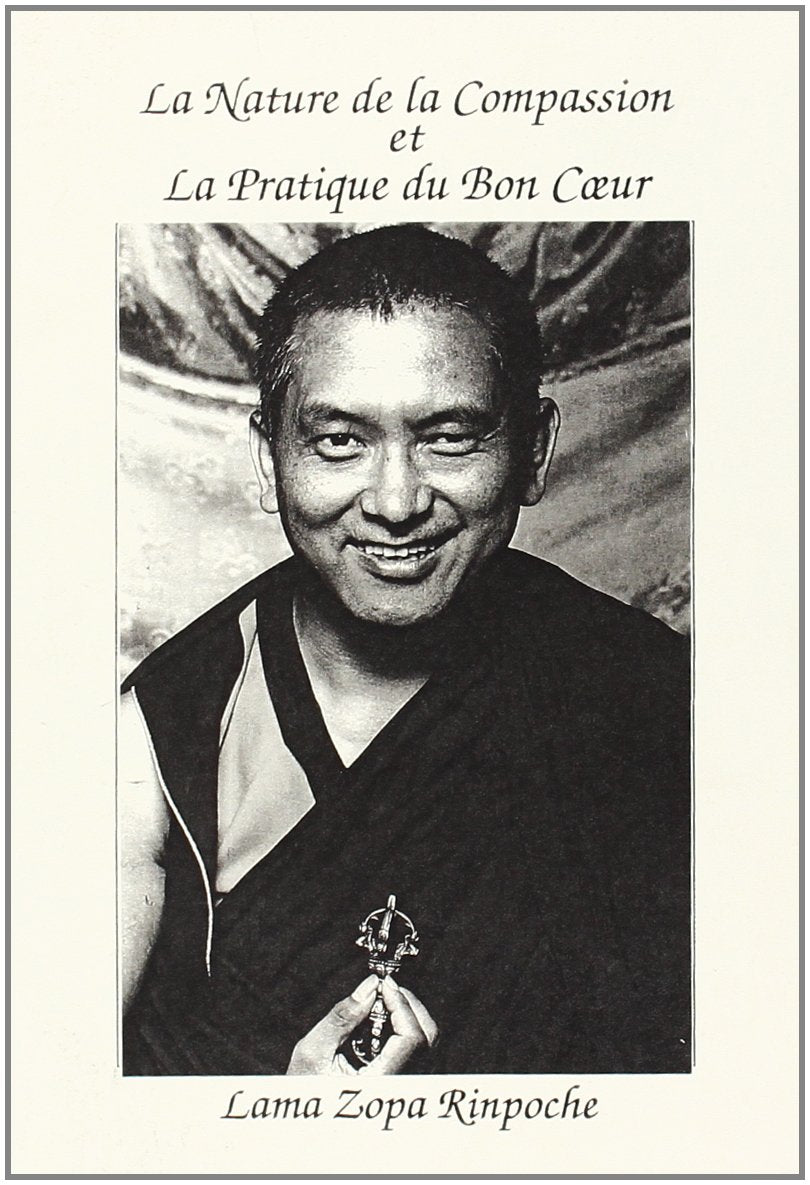 Nature de la compassion et pratique book