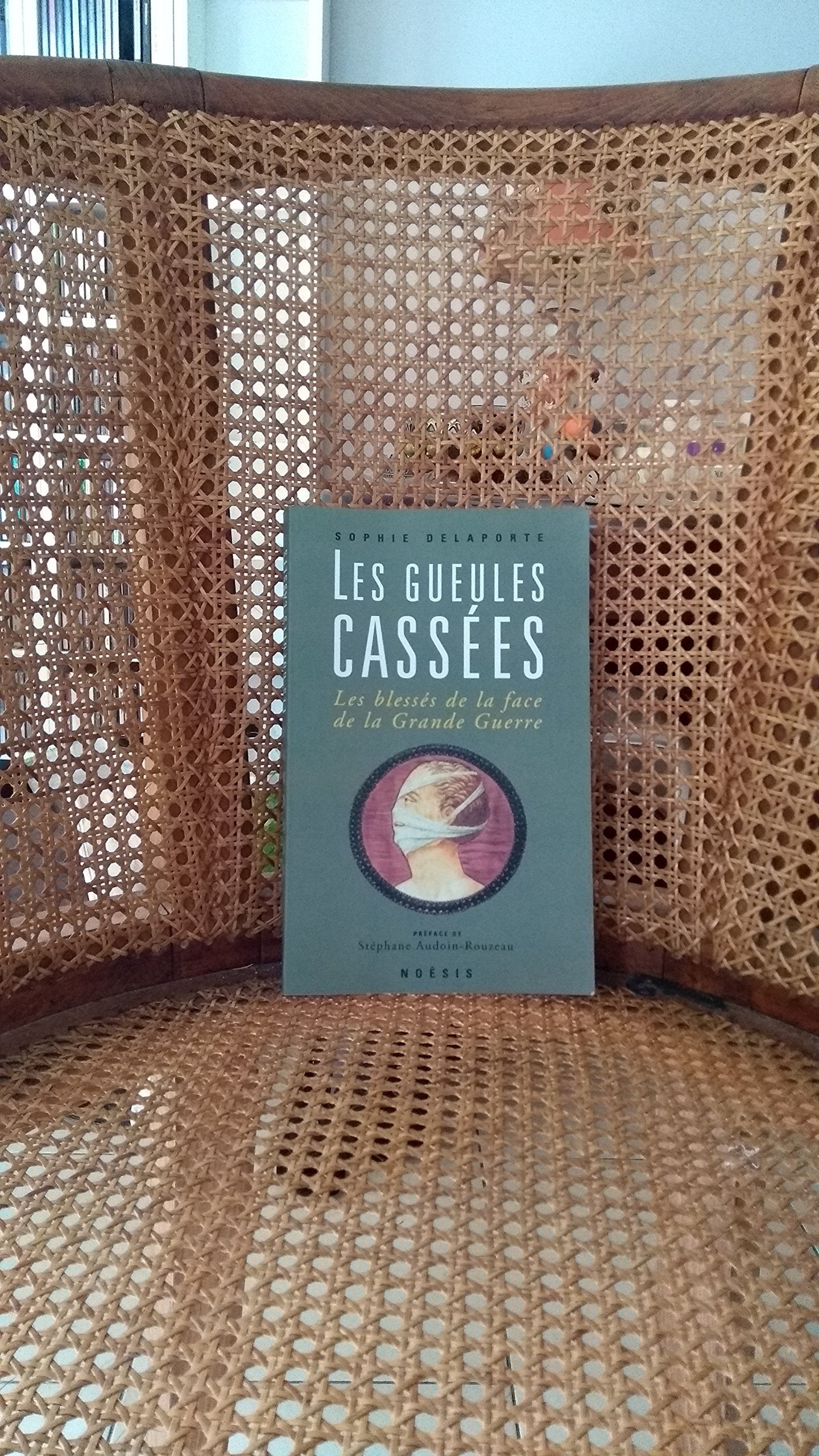 Gueules cassées : Les Blessés de la face de la Grande Guerre book