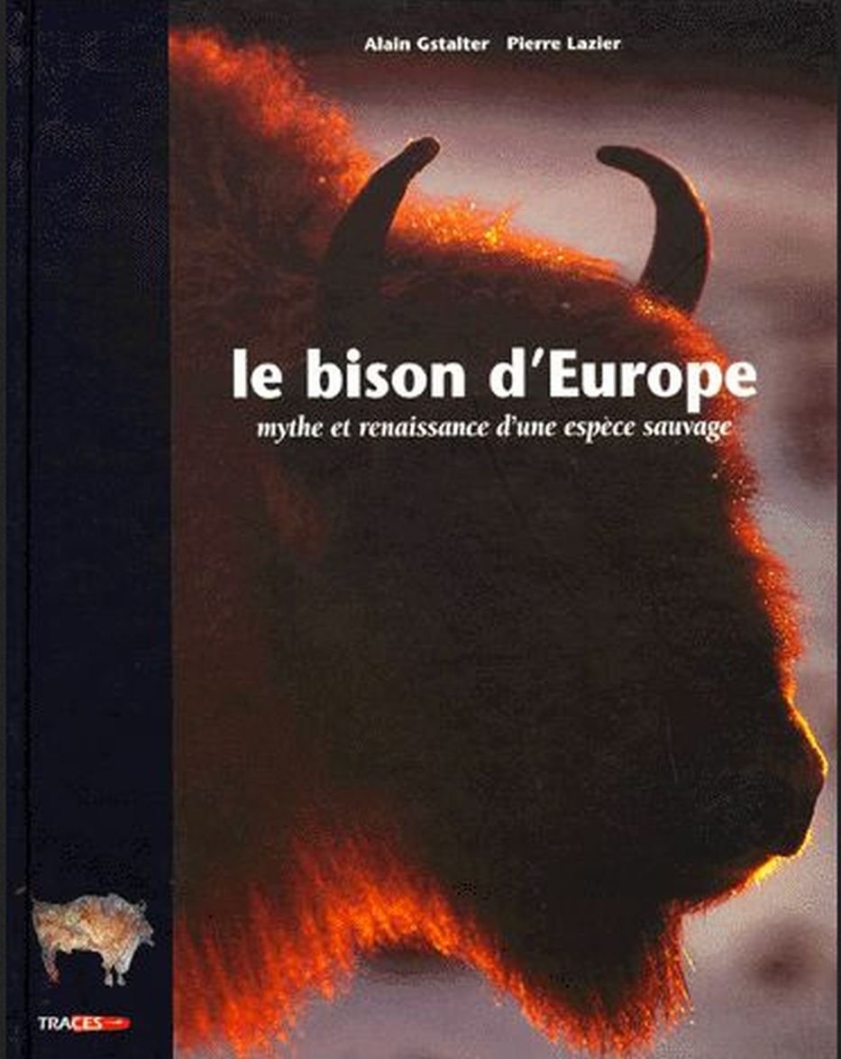 Le Bison d'Europe: Mythe et renaissance d'une espèce sauvage book
