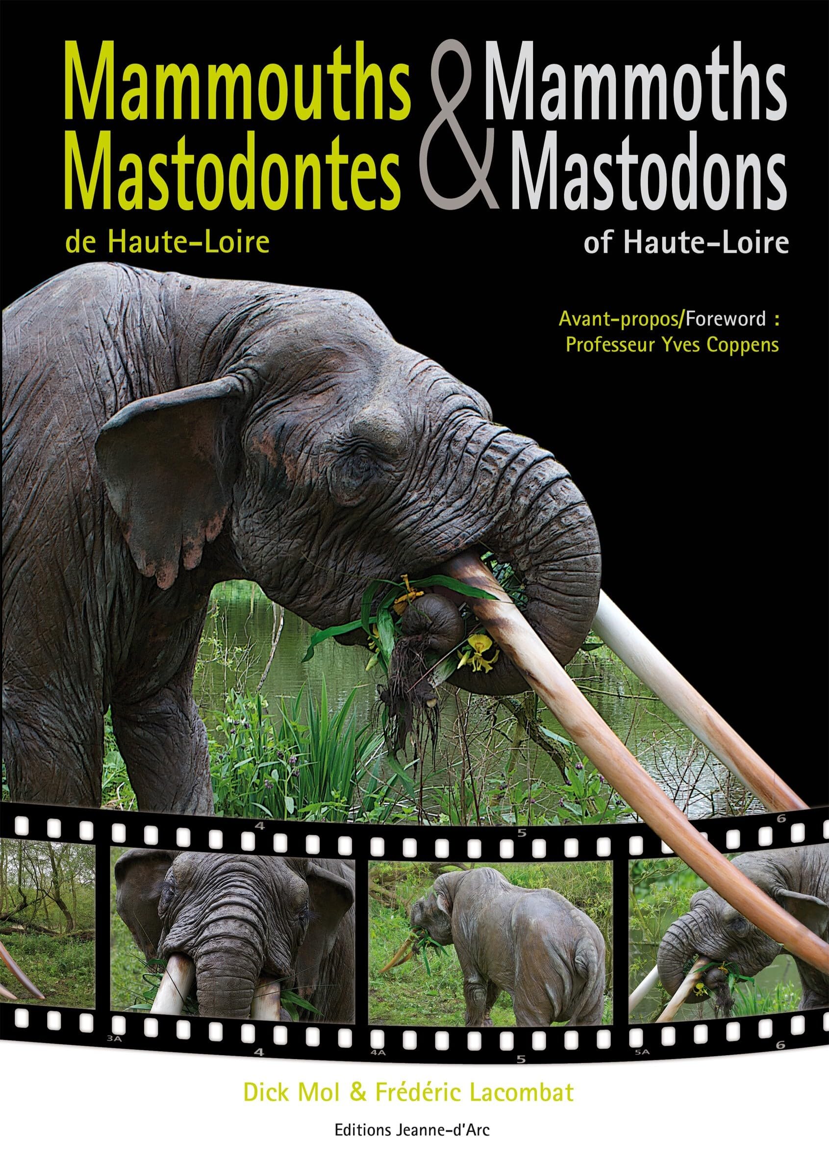 Mammouths et Mastodontes de Haute-Loire book