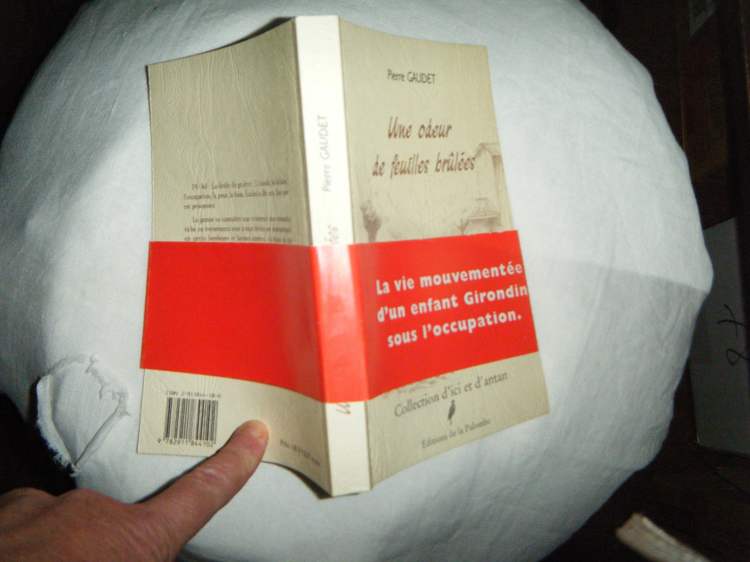 Une odeur de feuilles brûlées (Collection D'ici et d'antan) book
