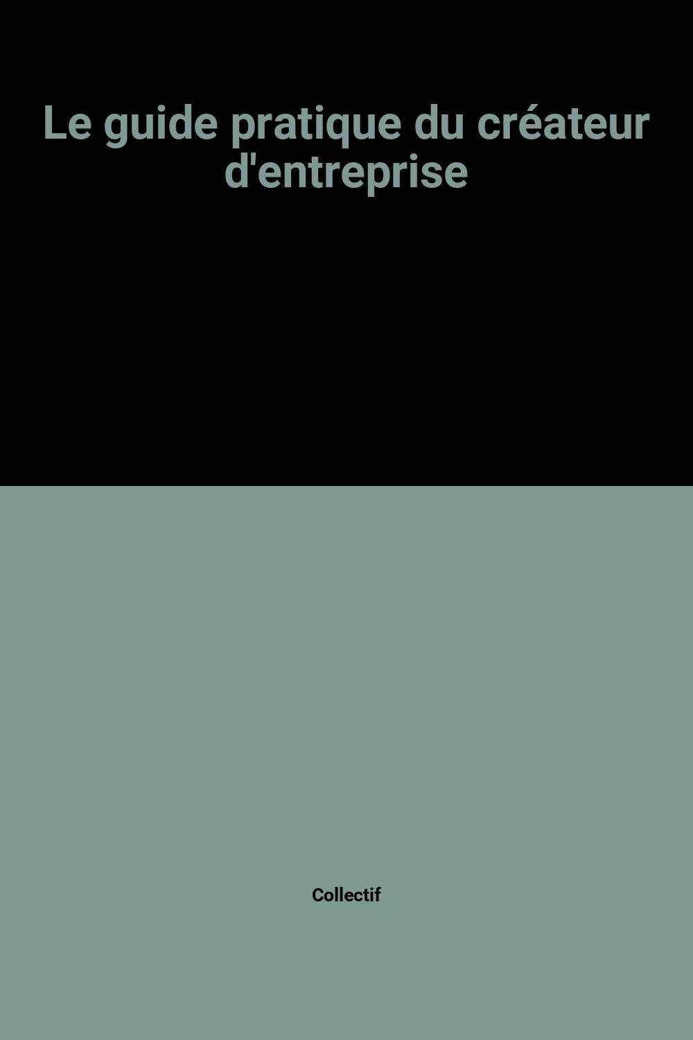 Le guide pratique du créateur d'entreprise book