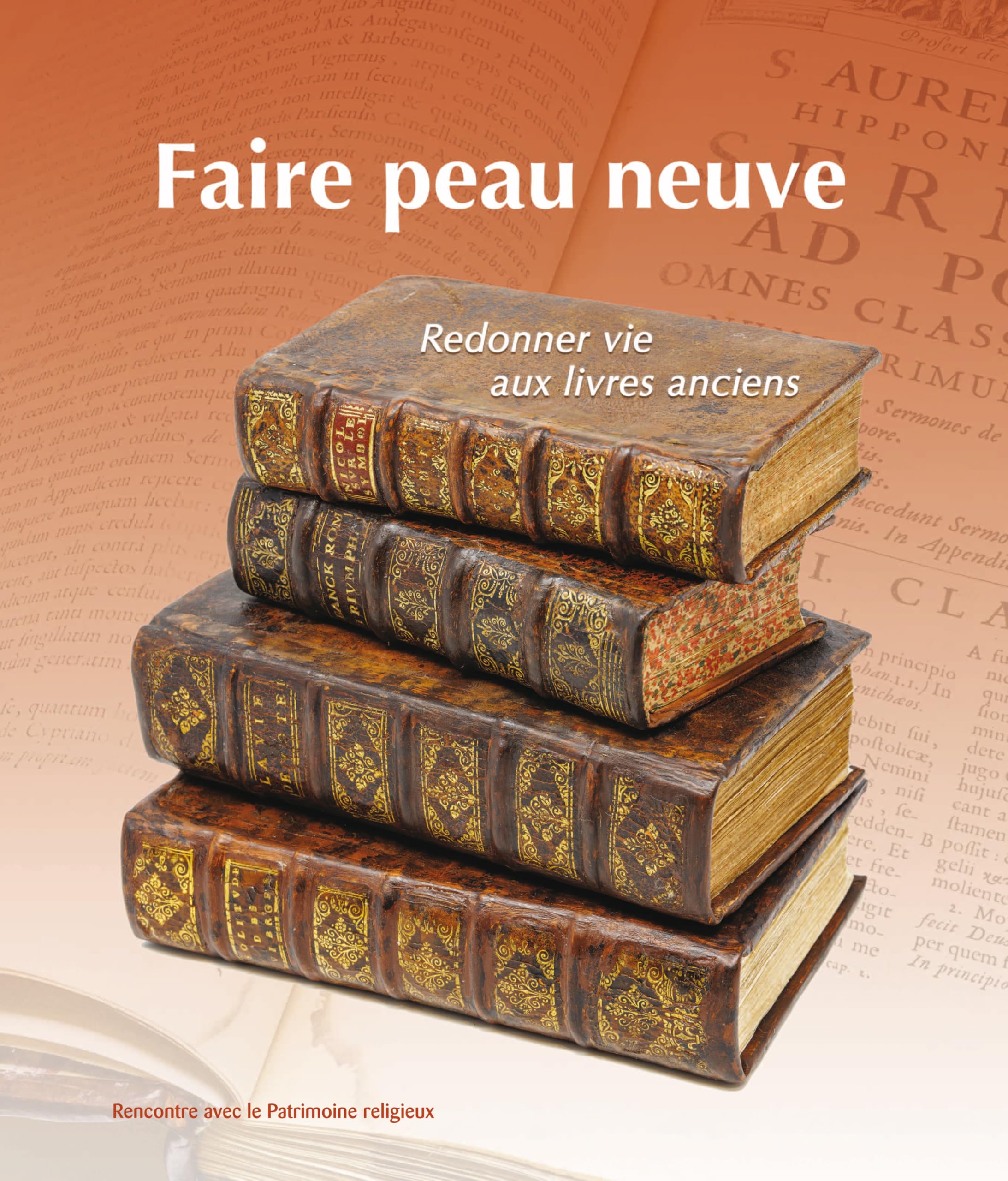 Faire peau neuve: Redonner vie aux livres anciens book