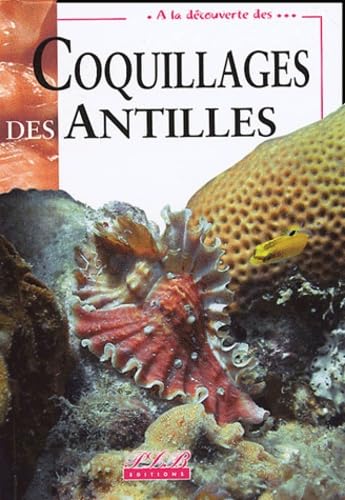 Coquillages des Antilles Fiction