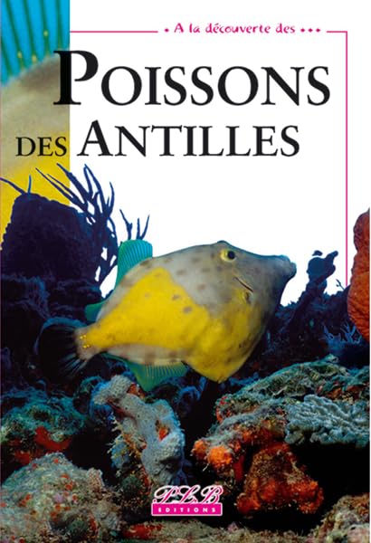 Poissons des Antilles Leisure, Home & Garden