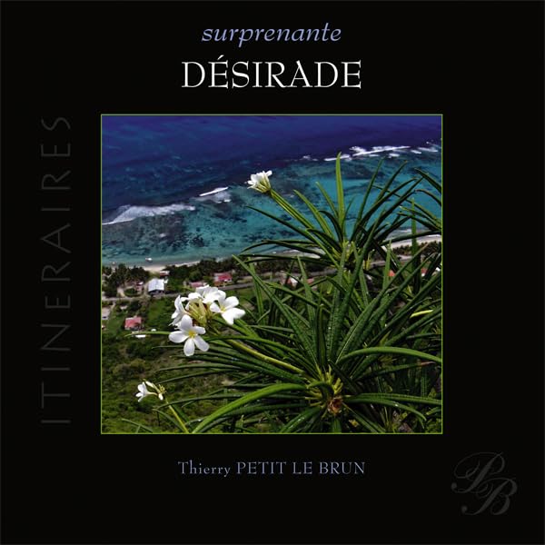 Surprenante Desirade book