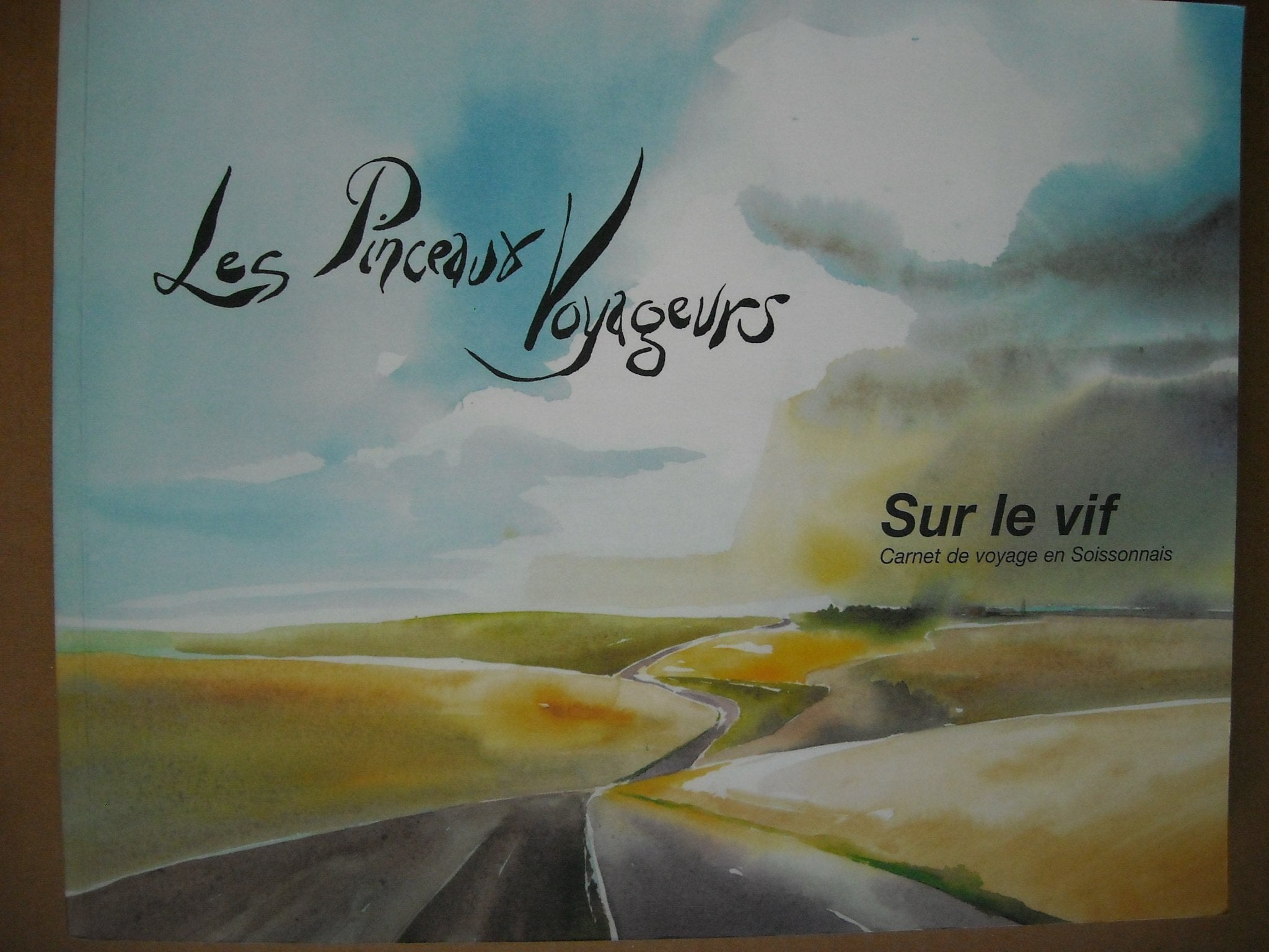 Sur le vif, Carnet de voyage en Soissonnais Books