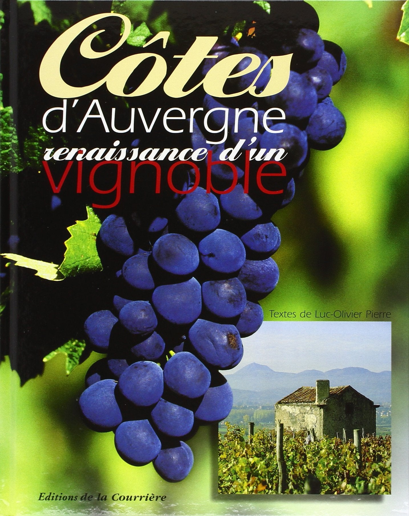 Cotes d'auvergne renaissance d'un vignoble Books