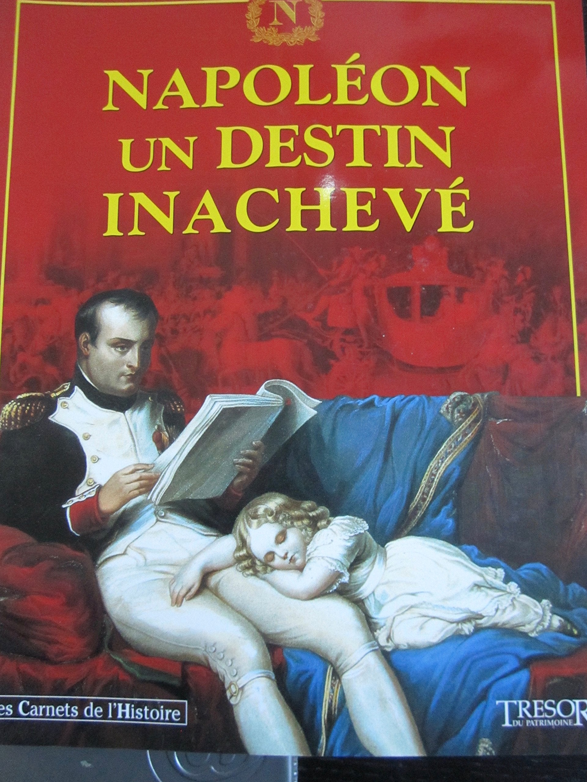 Napoléon, un destin inachevé (Les carnets de l'histoire) book