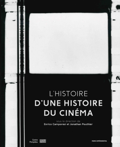 L'histoire d'Une histoire du cinéma book