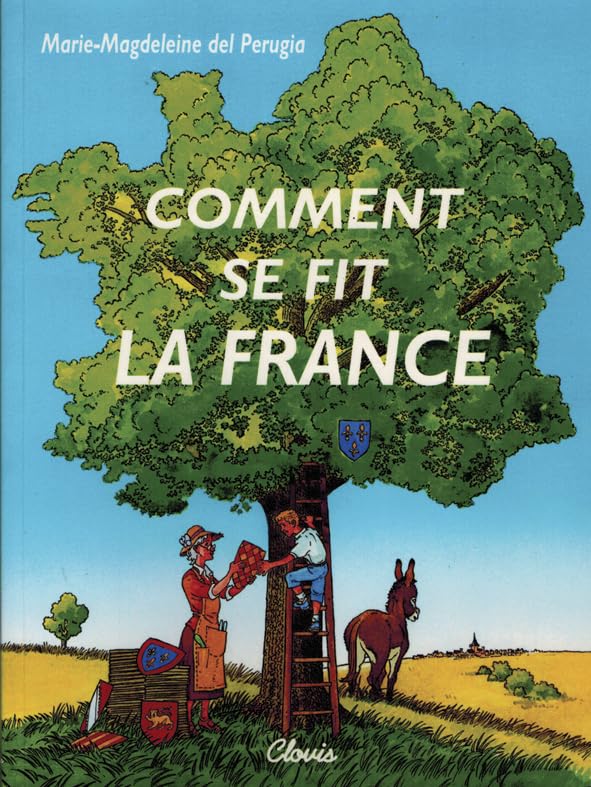 Comment se fit la France Non-fiction