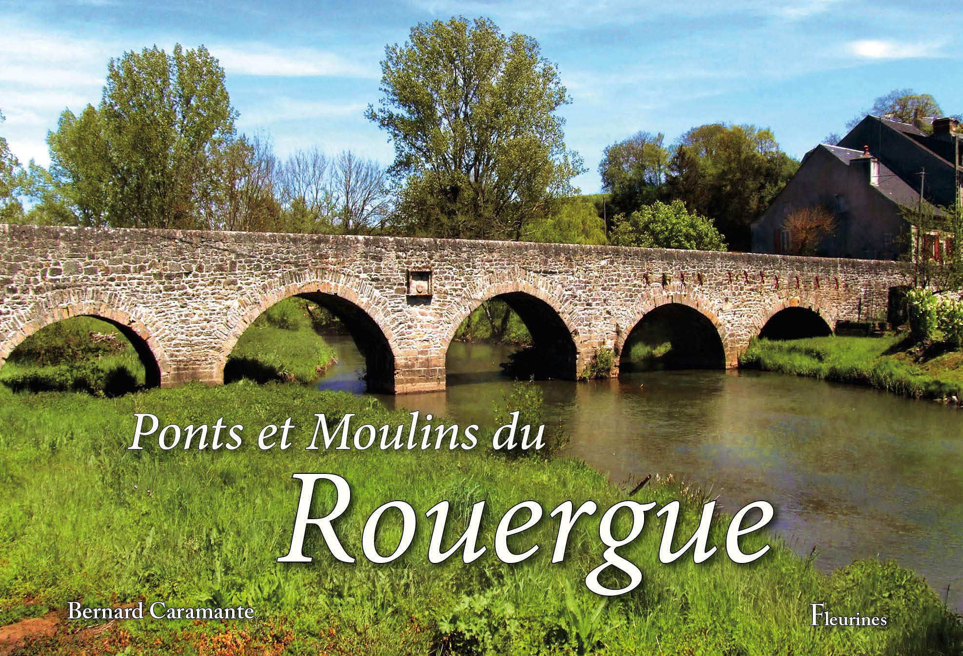 Ponts et Moulins du Rouergue (Aveyron, photos, viaduc, médiéval) book