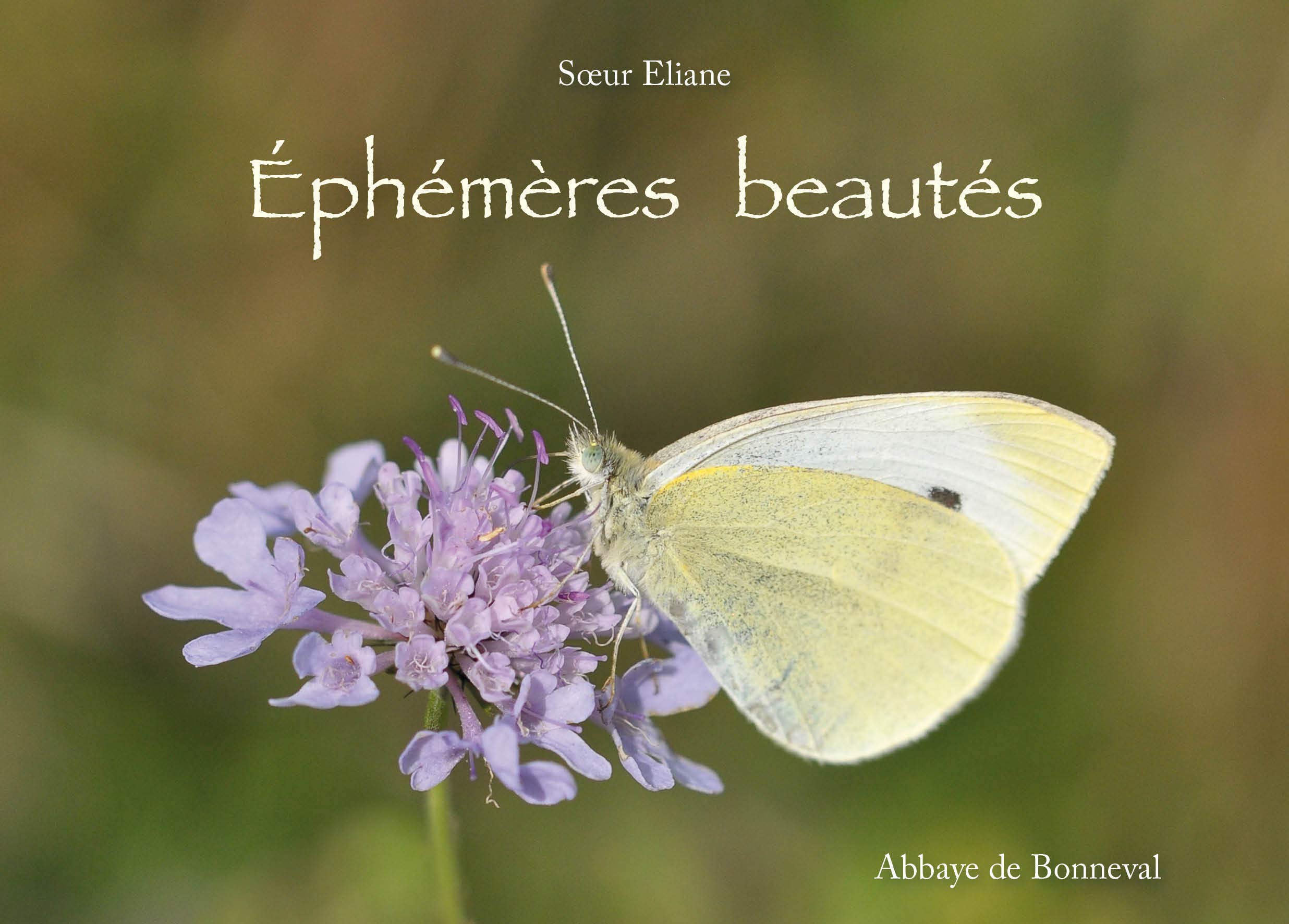 Éphémères beautés (fleurs et papillons, Aveyron, Aubrac) book
