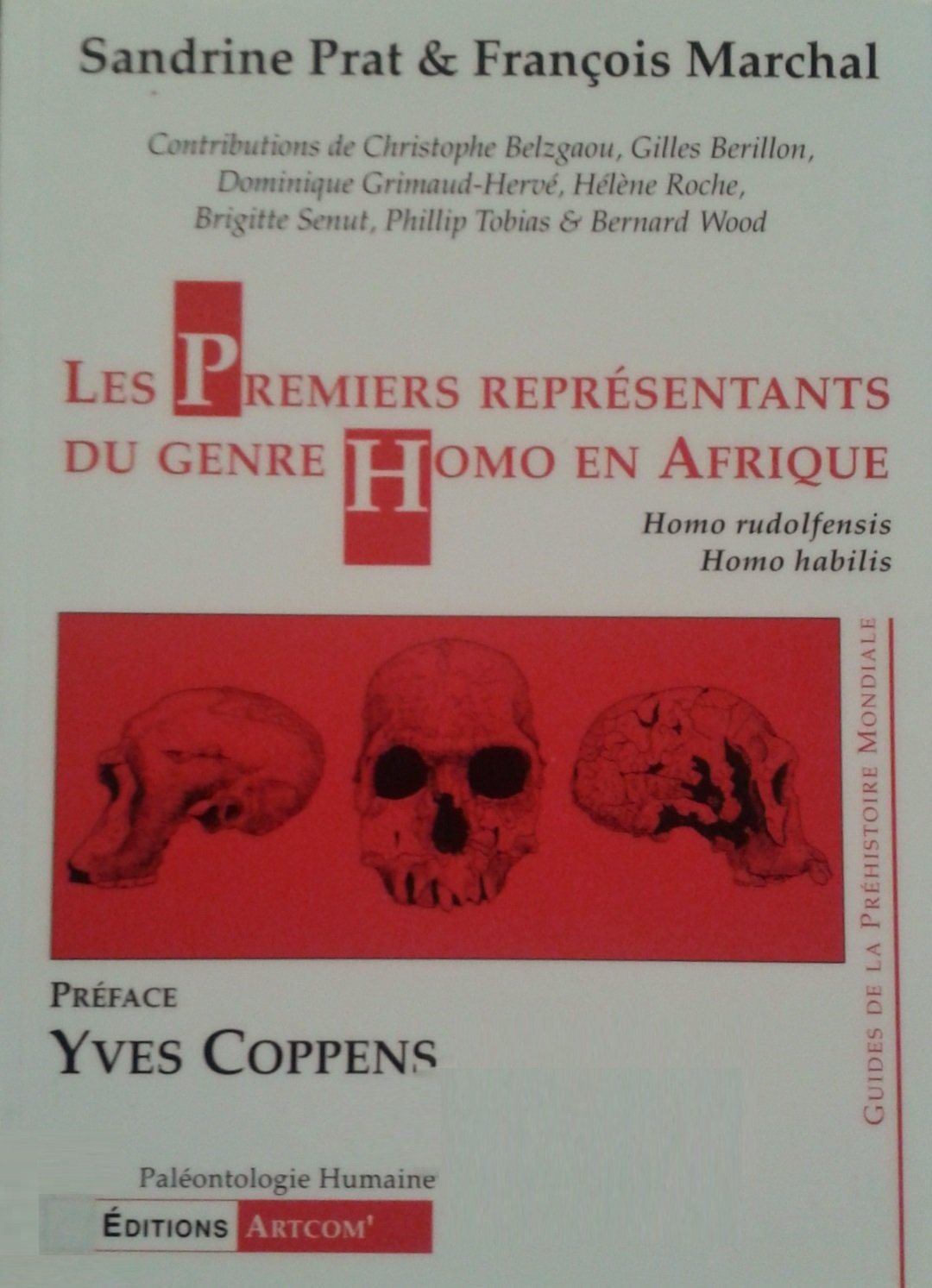LES PREMIERS REPRESENTANTS DU GENRE HOMO EN AFRIQUE : HOMO RUDOLFENSIS, HOMO HABILIS book