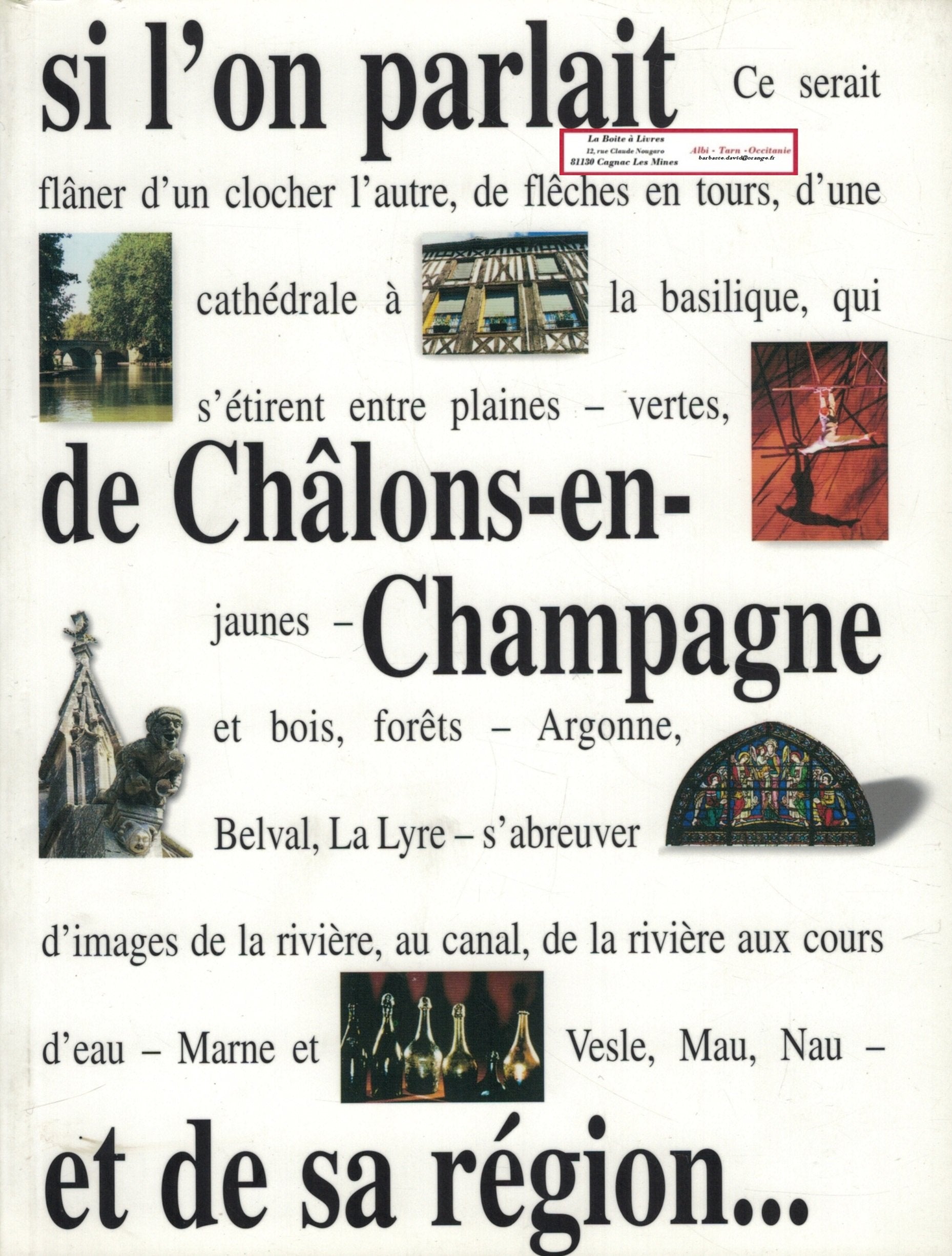Si l'on parlait de ch lons en champagne et de sa r gion (Témoignages) Books