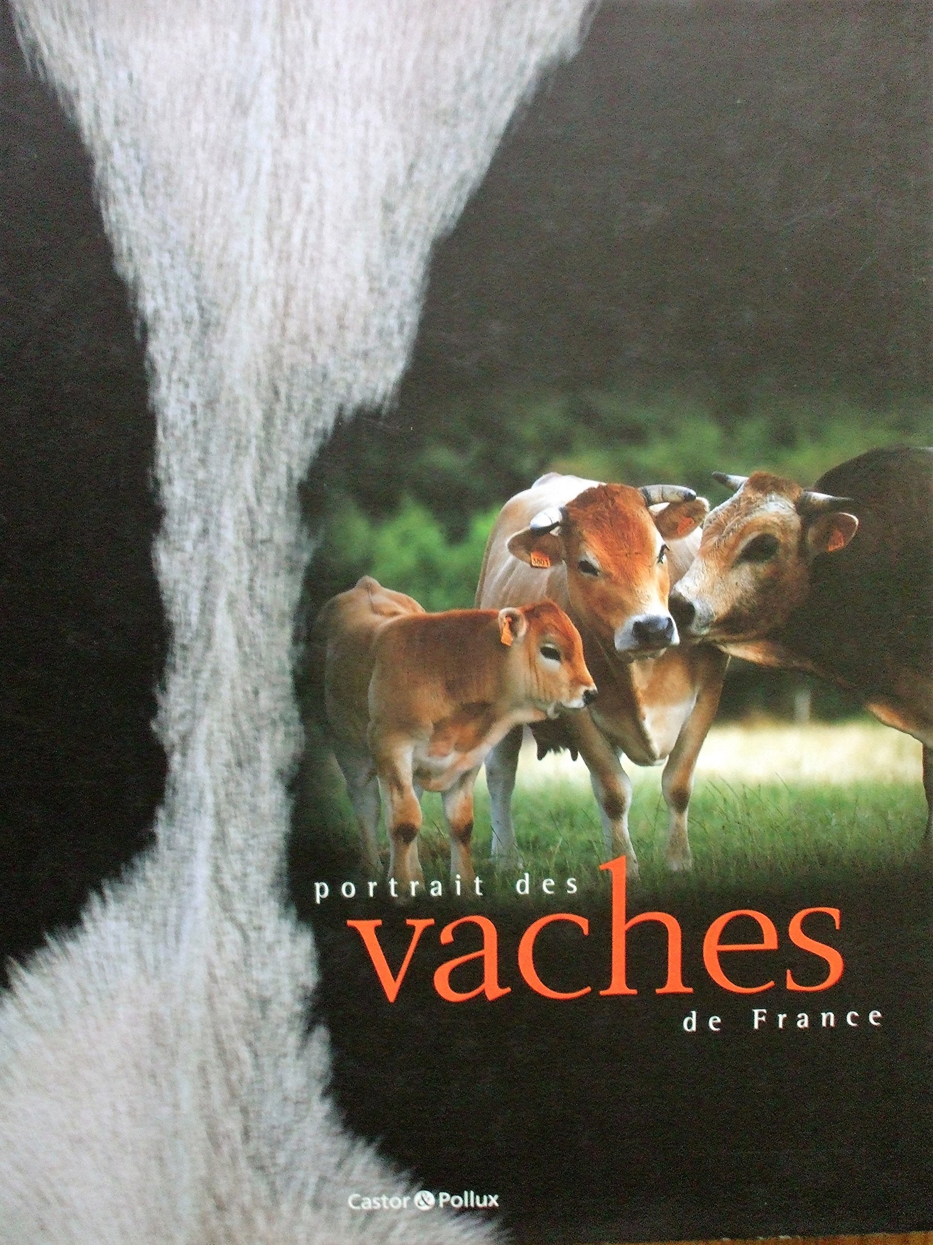 Portrait des vaches de France book