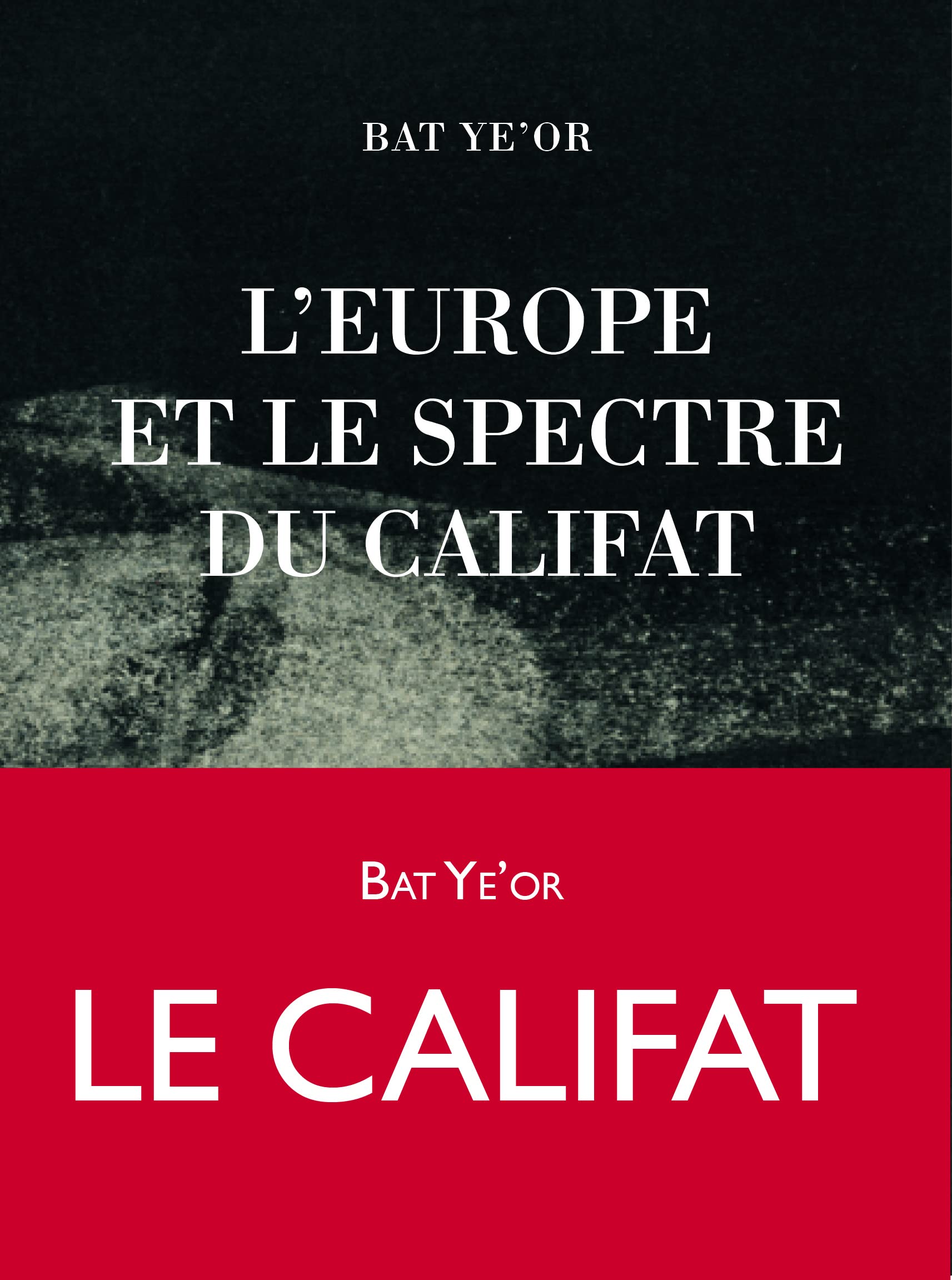 L'Europe et le spectre du califat Politics & History