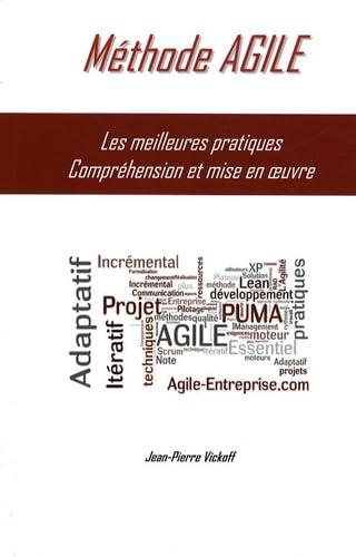 Méthode AGILE: Guide de mise en oeuvre dans les projets de SI et d'organisation Books