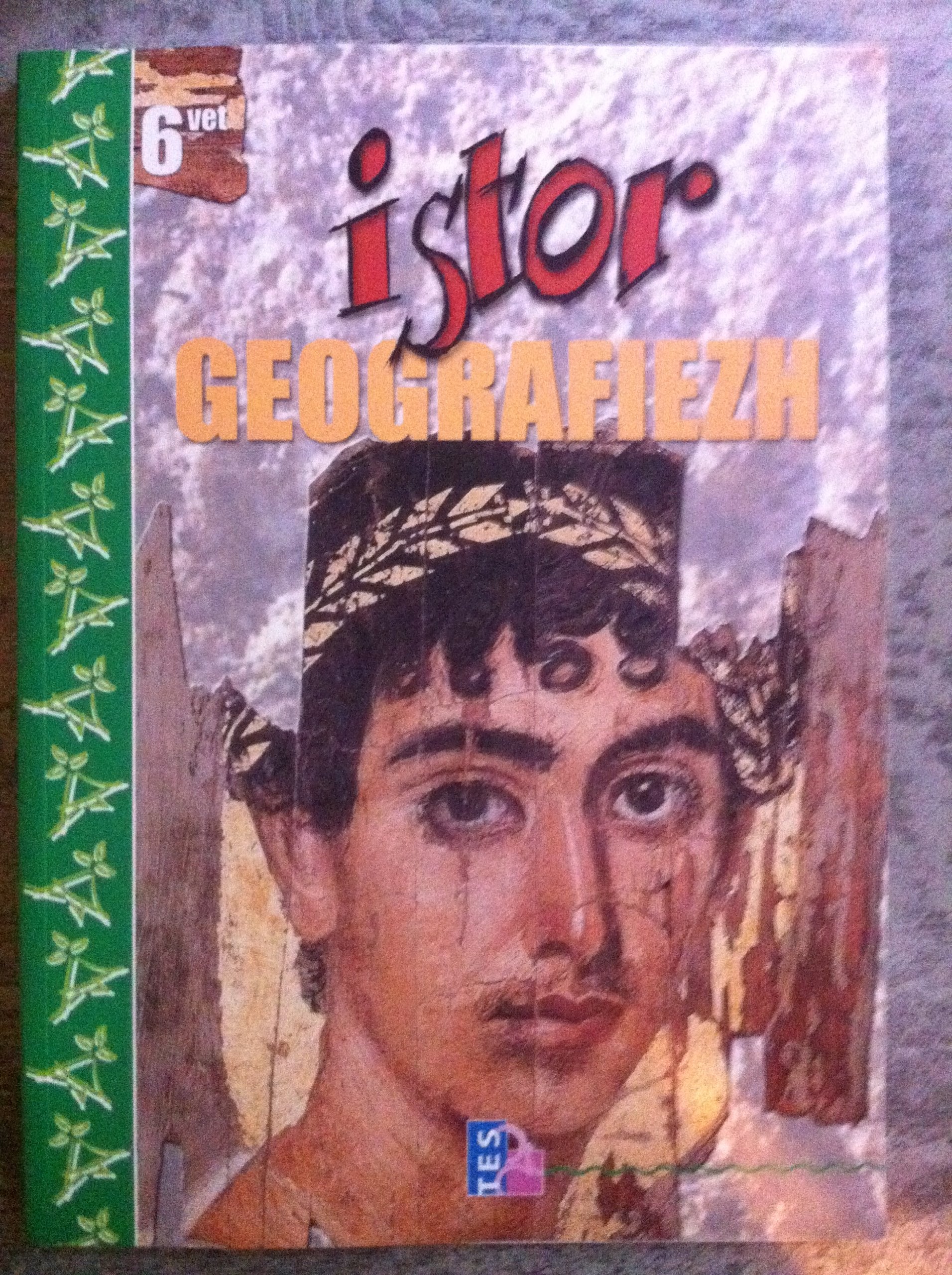 Istor-geografiezh, 6vet Professional & Reference Books