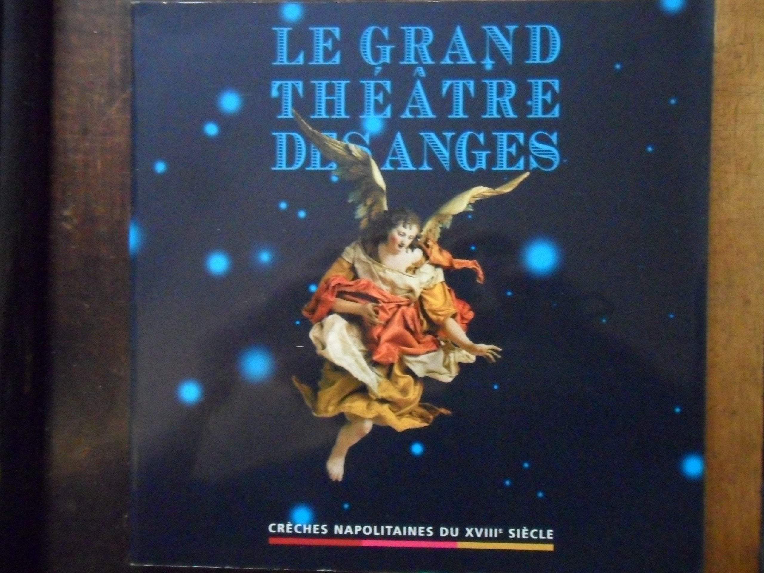 Le grand théâtre des anges : Expo sic, Musée Fesch, Ville d'Ajaccio, du 07-11-2003 au 29-02-2004 book