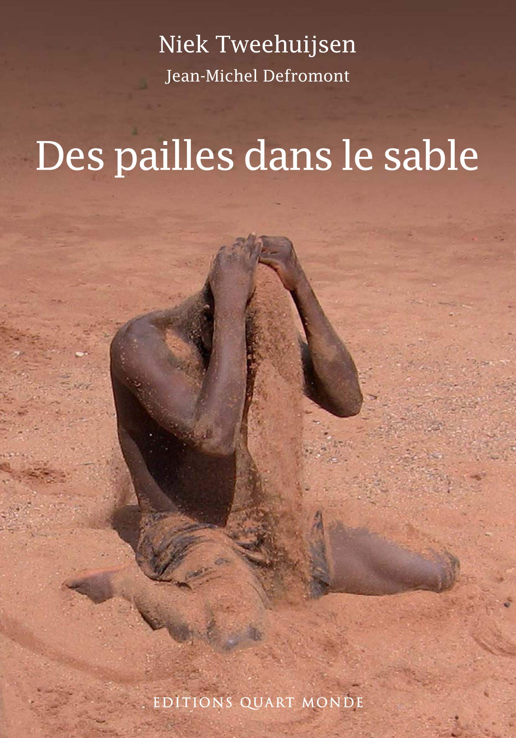 Des pailles dans le Sable Contemporary literature
