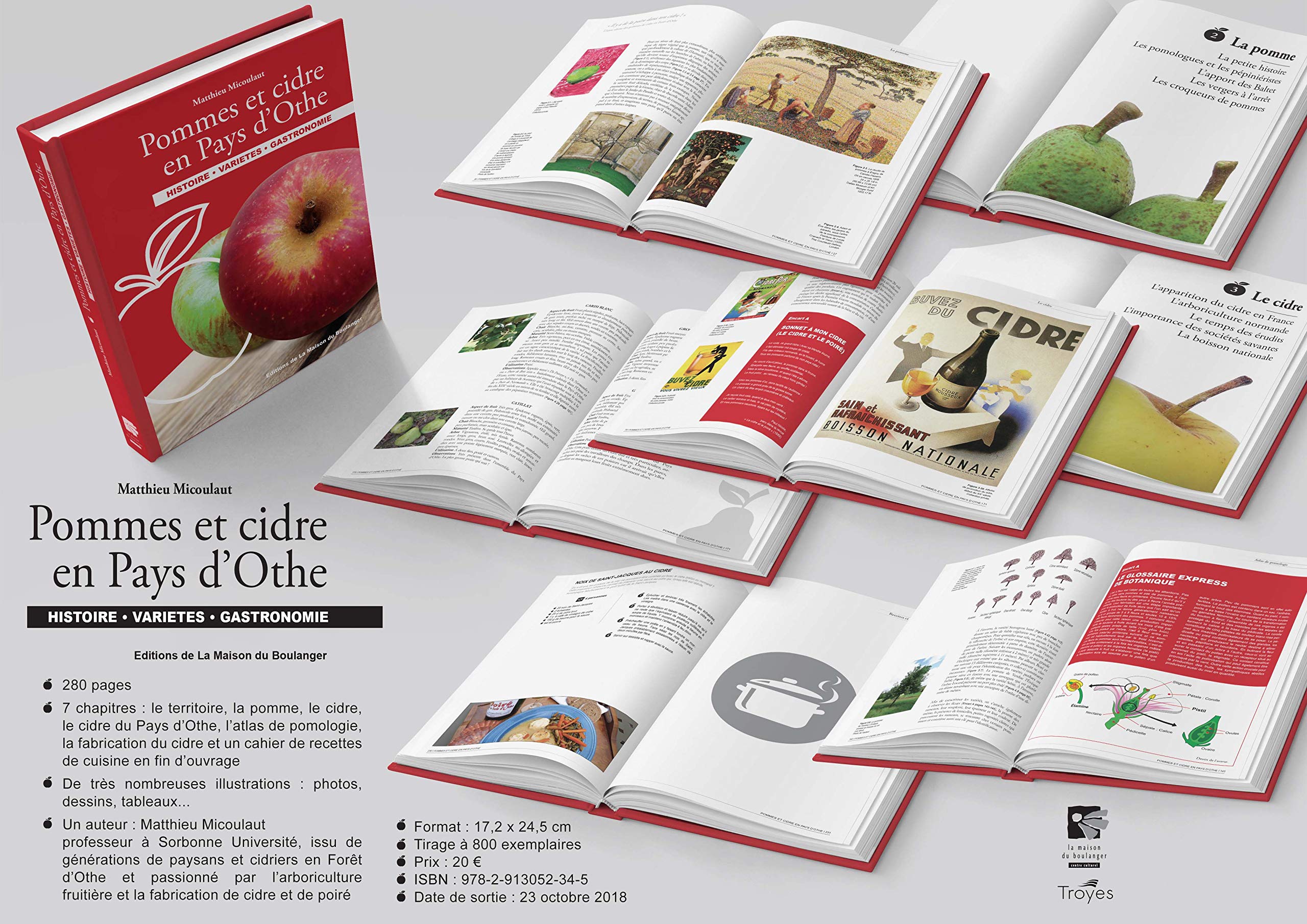 Pommes et cidre en Pays d'Othe: Histoire, variétés, gastronomie book