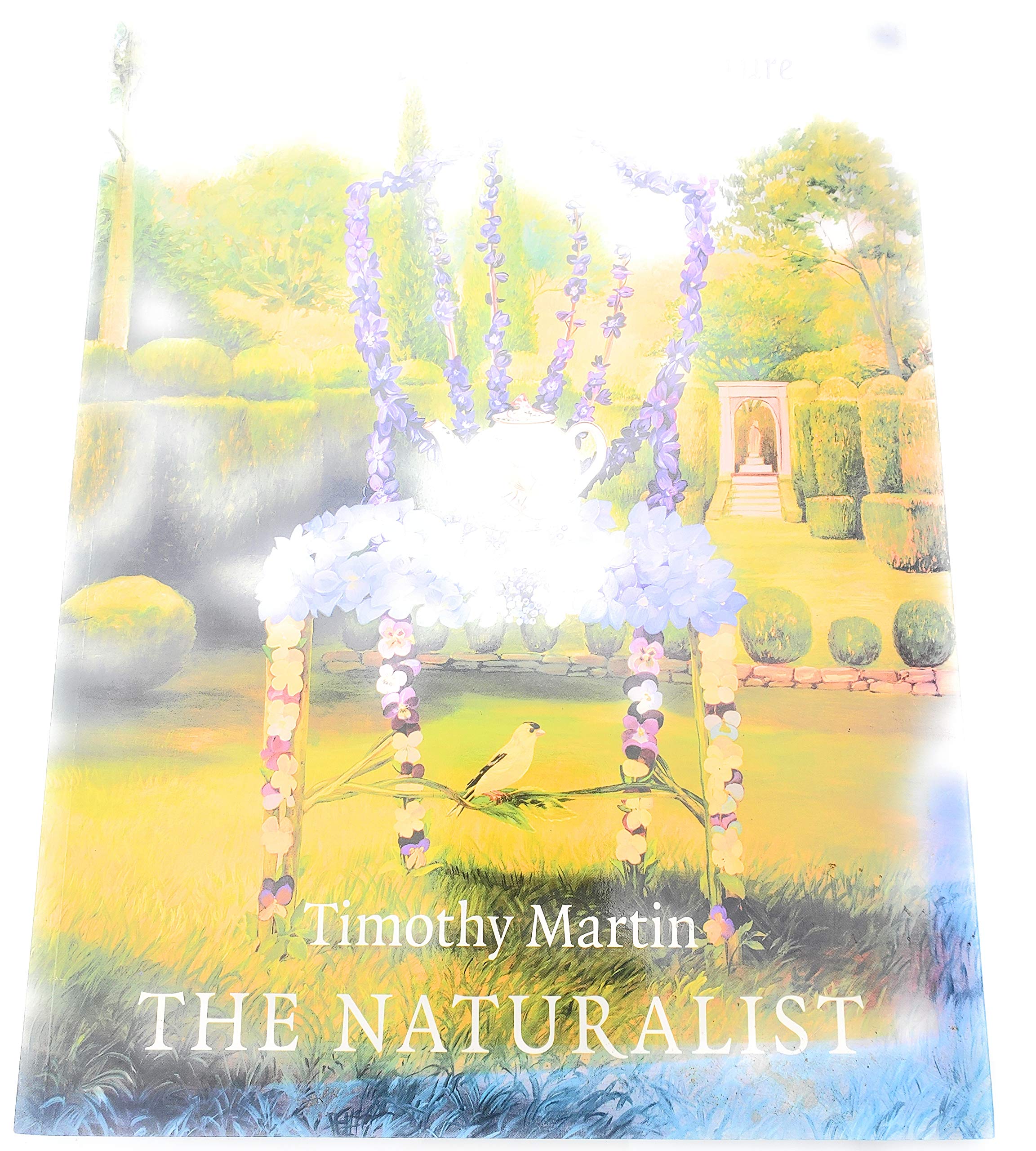 The Naturalist: A Different Way of Seeing Nature Books